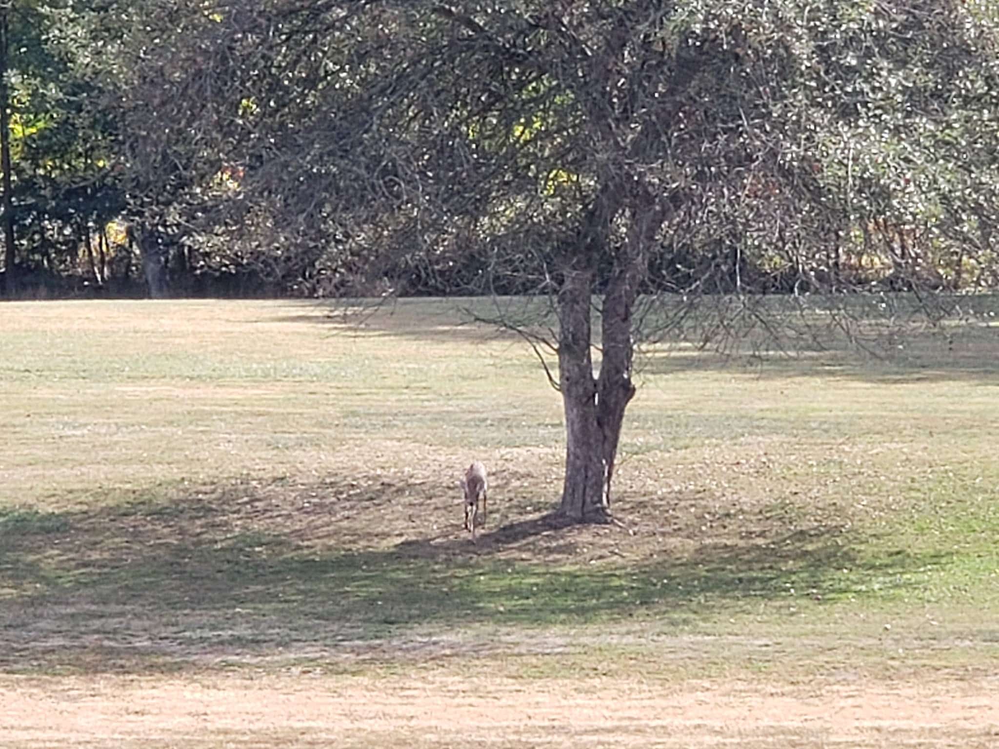 Castanea Fire Company Picnic Grounds - Lock Haven, PA