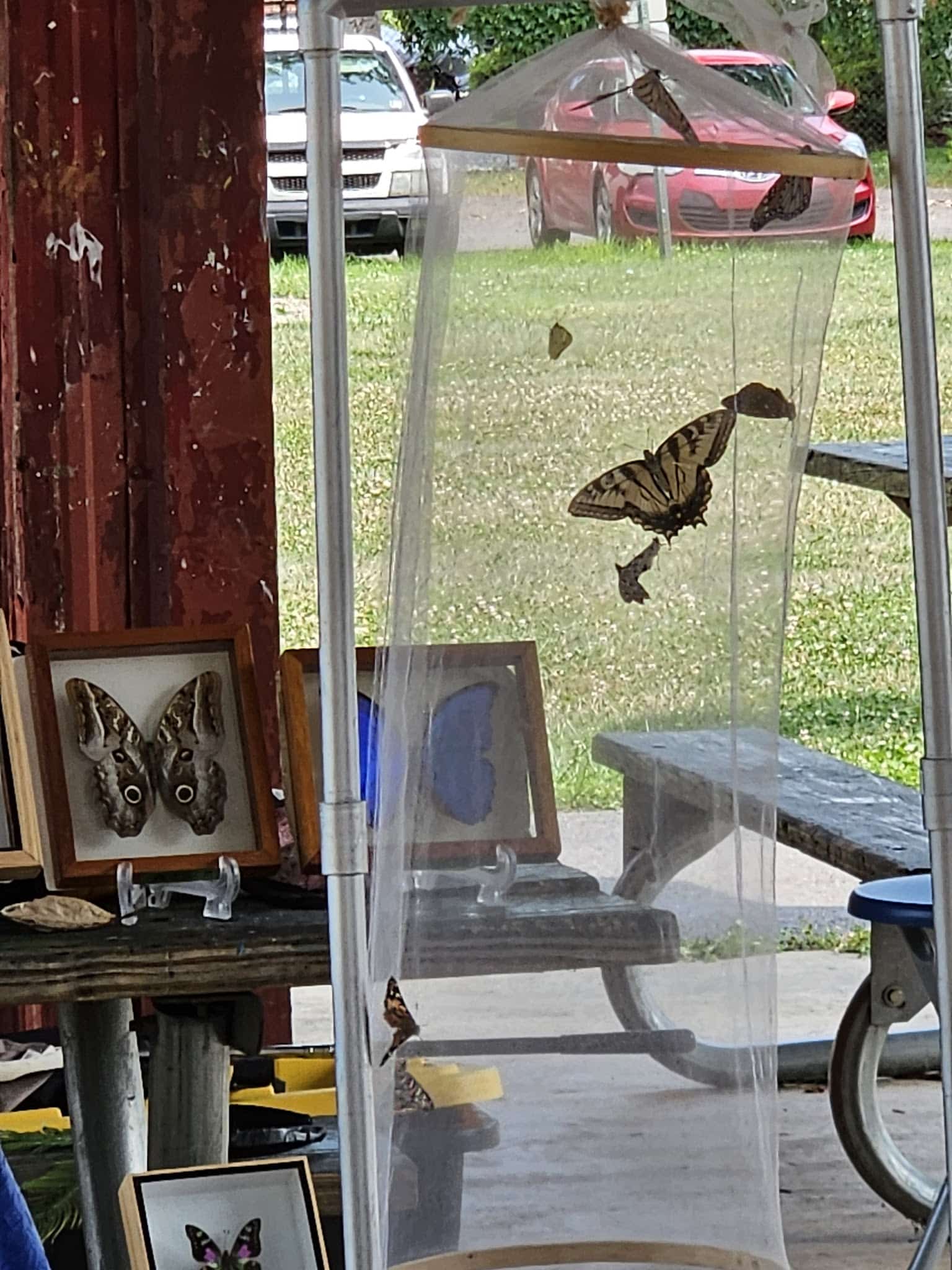 Hoberman Park - Lock Haven, PA