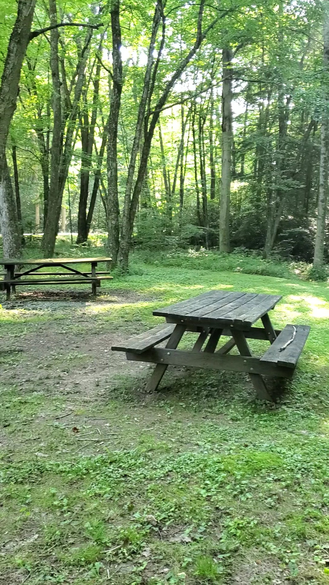 Upper Pine Bottom State Park - Lock Haven, PA