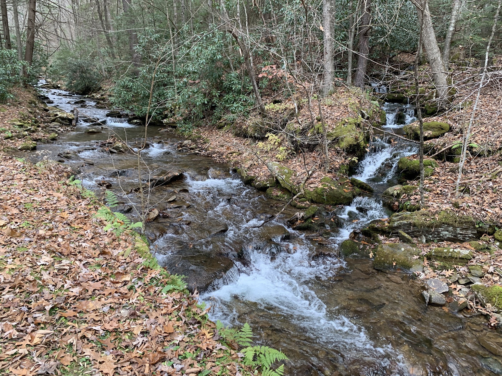 Upper Pine Bottom State Park - Lock Haven, PA