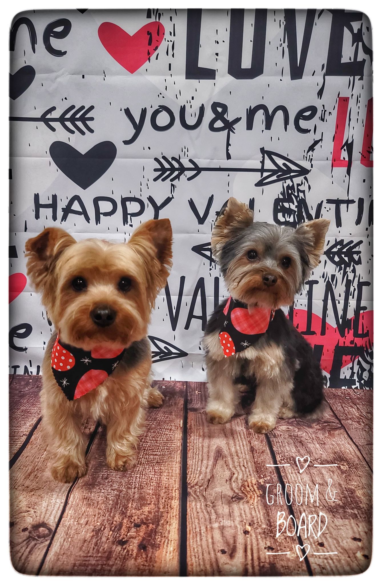 Groom & Board - Lockesburg, AR