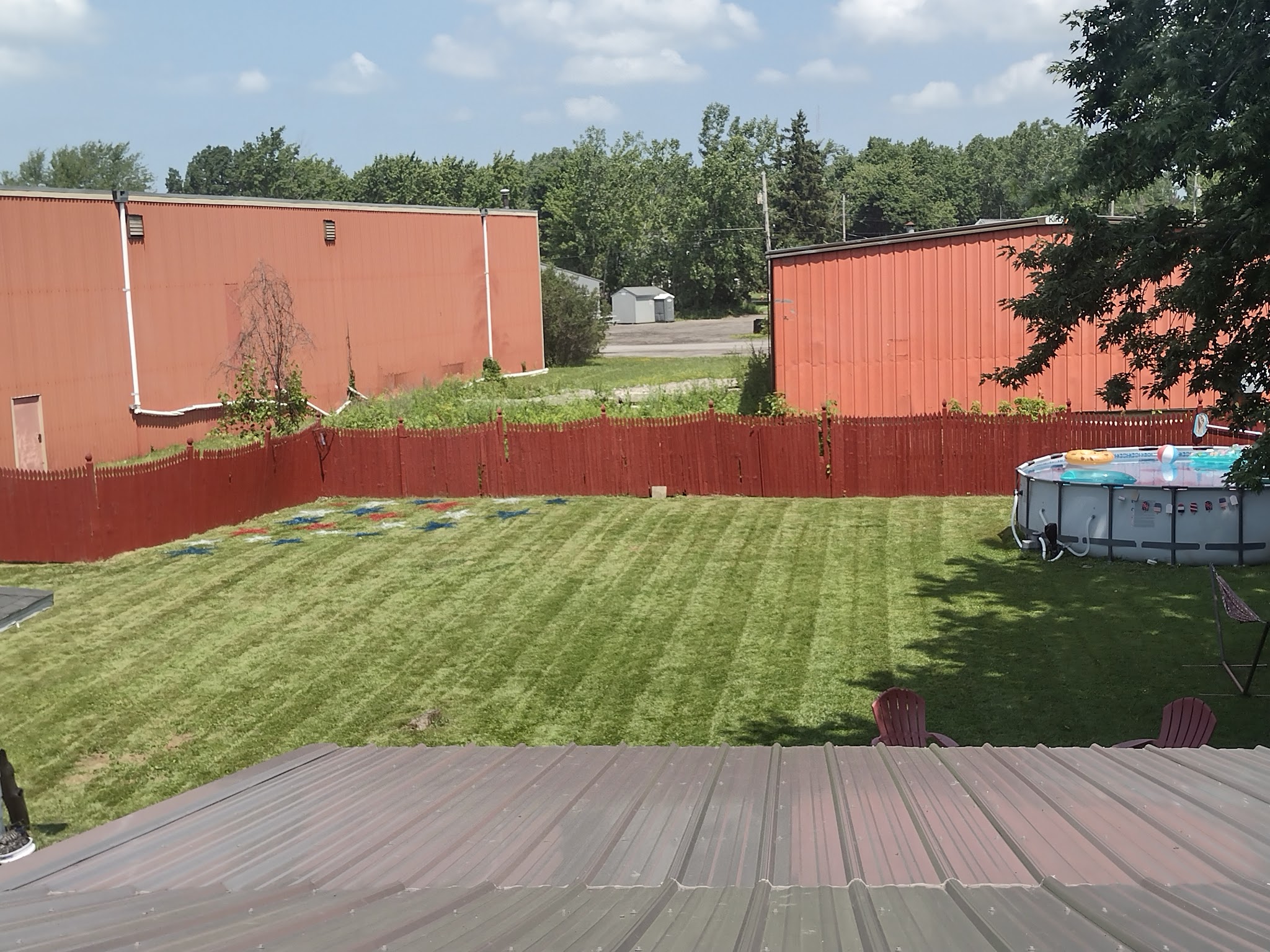 Paws and Play - Lockport, NY