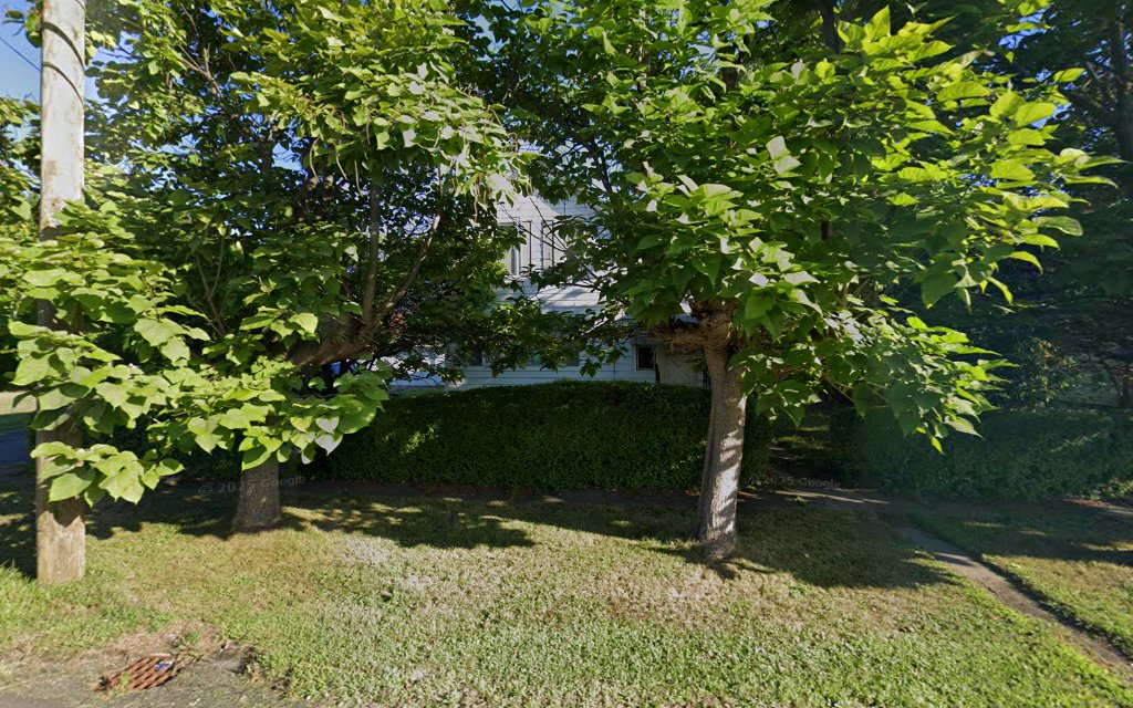 Paws and Play - Lockport, NY