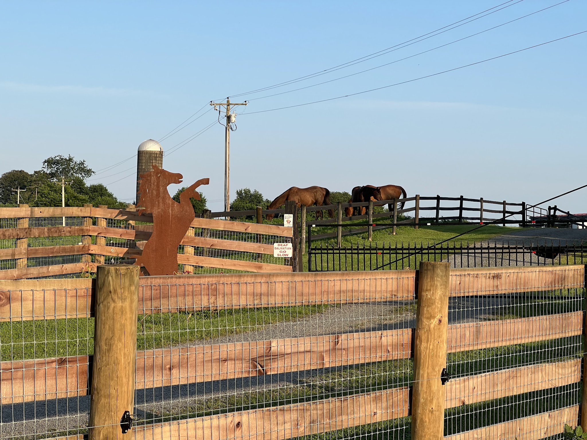 Freedom Fields Farm - Locust Dale, VA