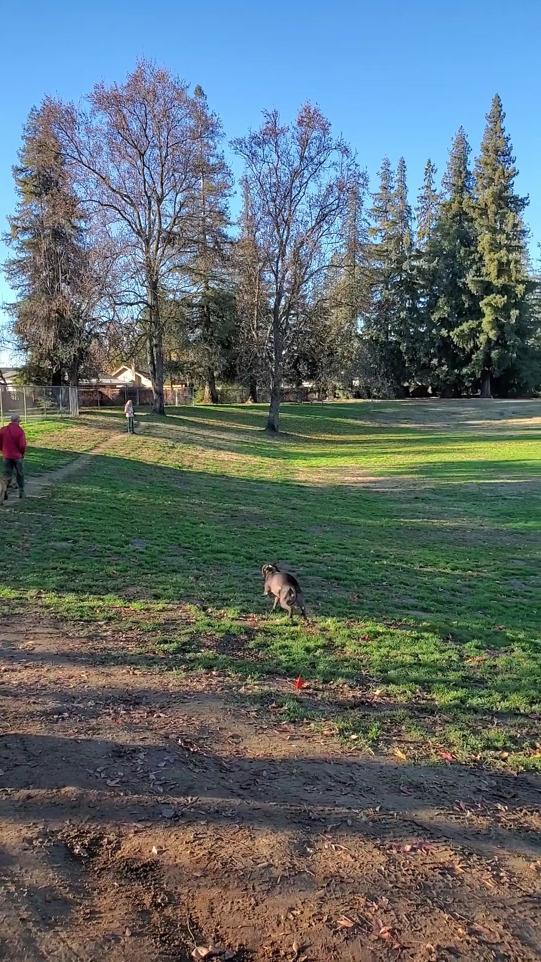 Vinewood Park - Lodi, CA