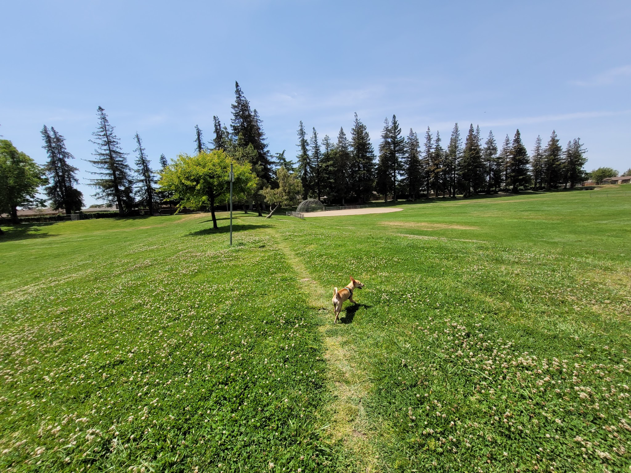 Vinewood Park - Lodi, CA