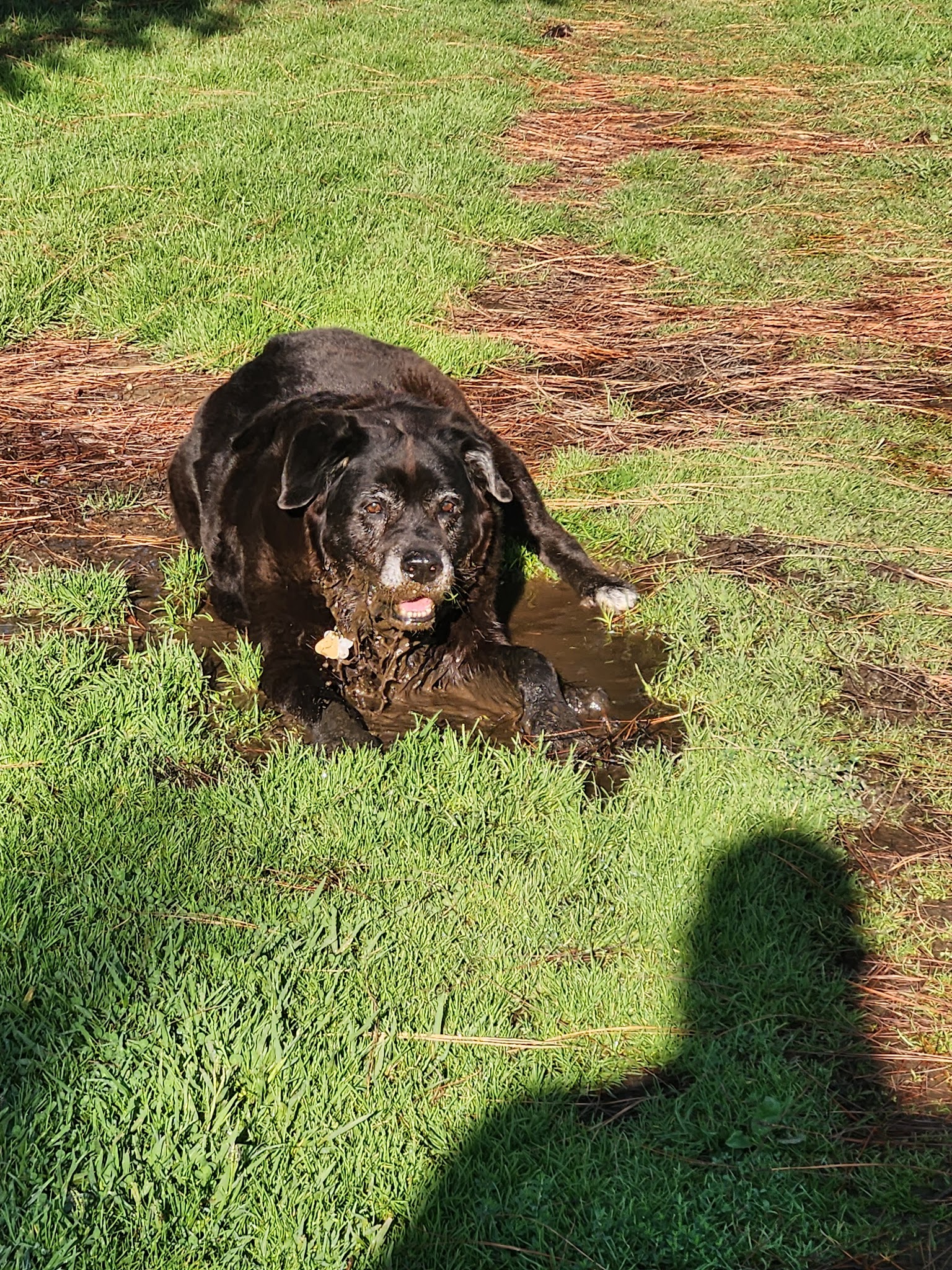 Vinewood Park - Lodi, CA