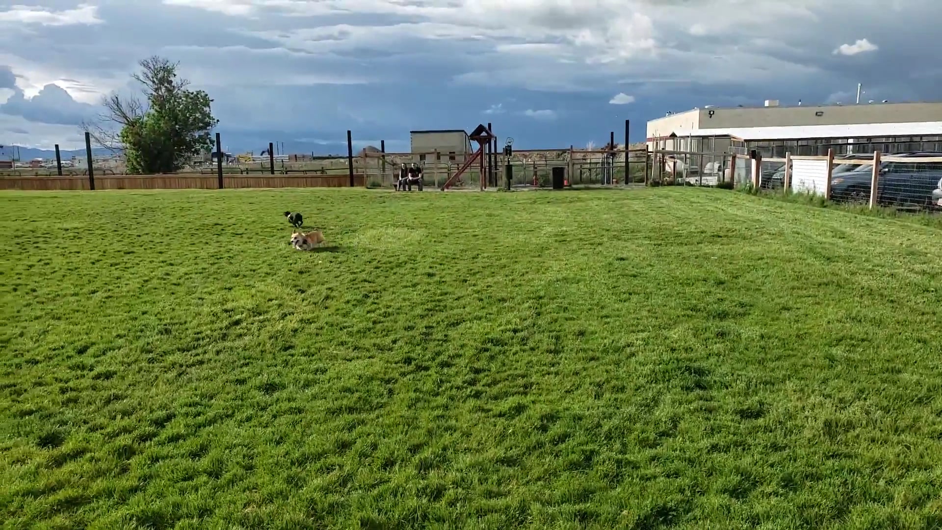 Cache Humane Society Dog Park - Logan, UT