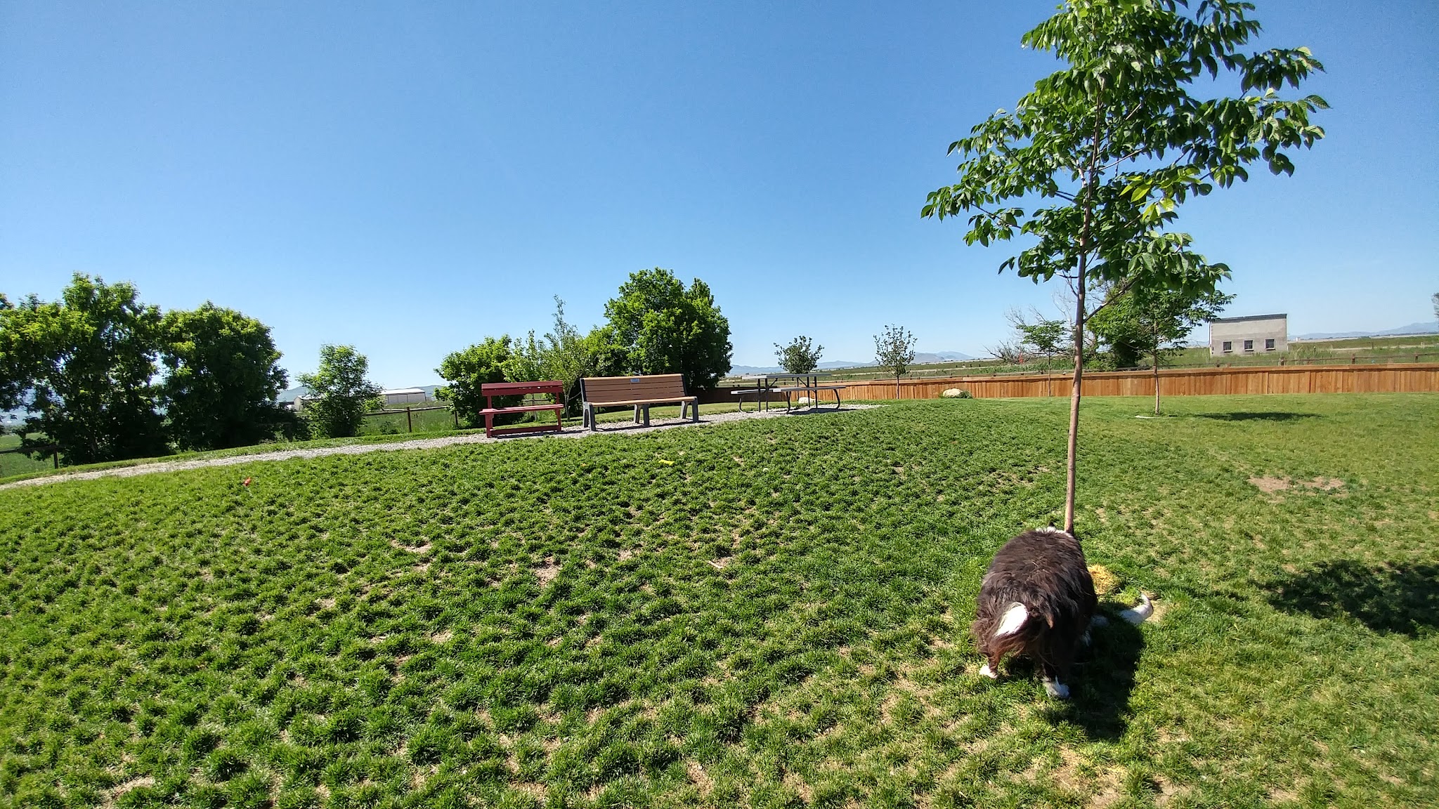 Cache Humane Society Dog Park - Logan, UT