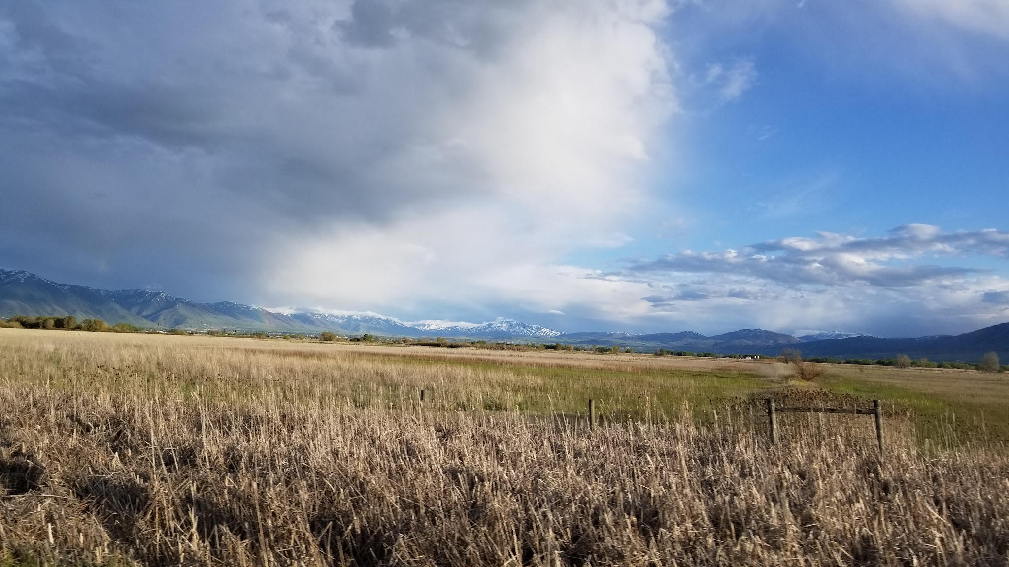 Cache Humane Society Dog Park - Logan, UT