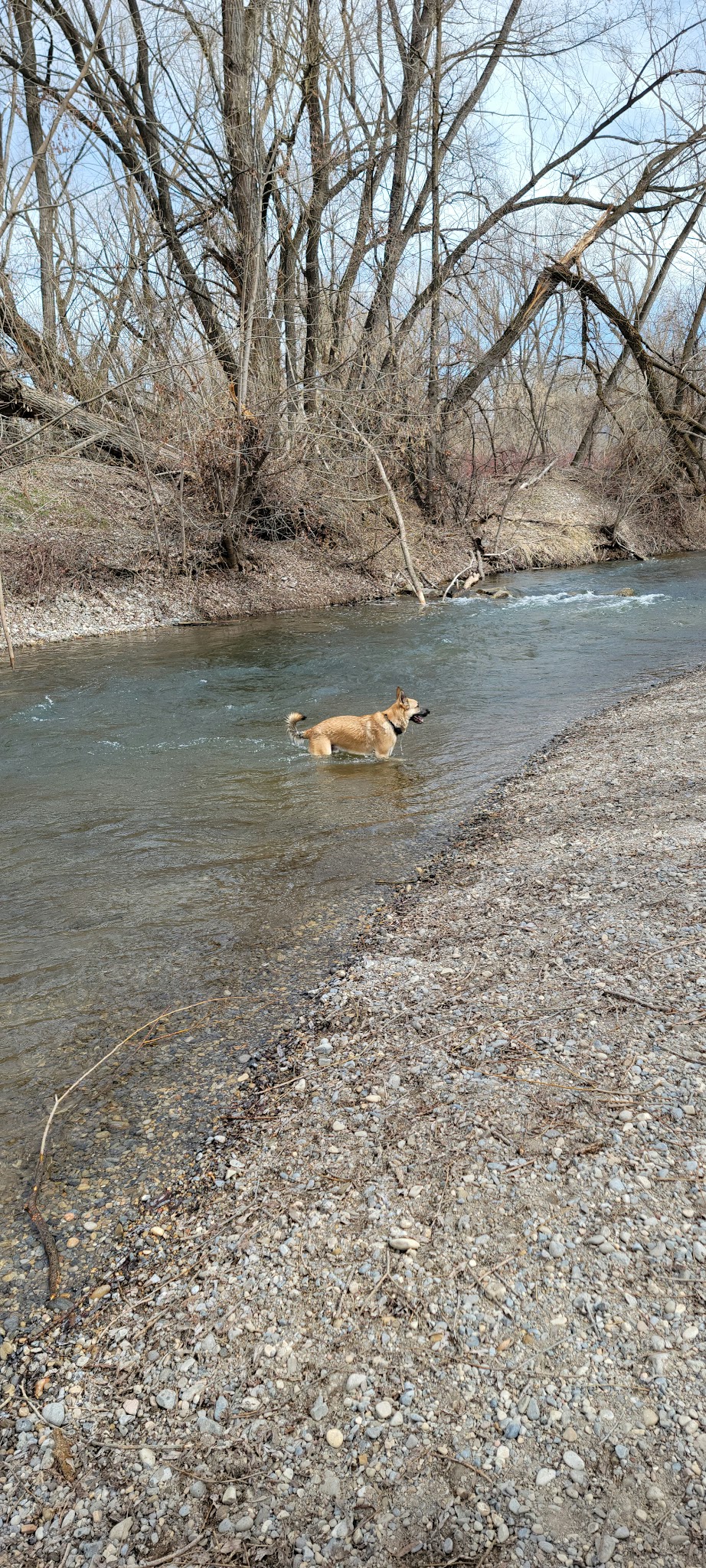 Dog Park - Logan, UT