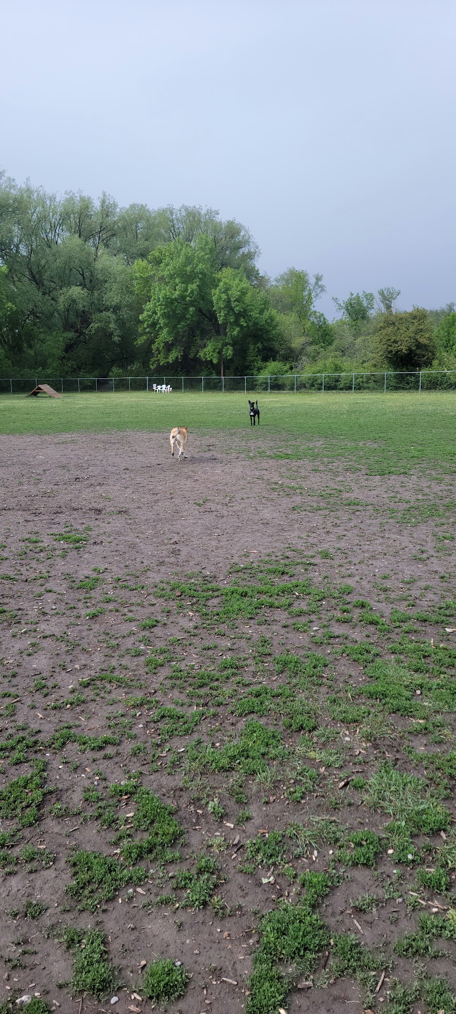 Dog Park - Logan, UT