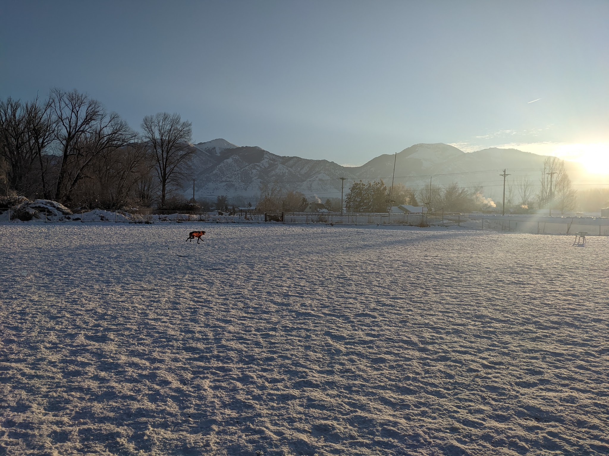 Dog Park - Logan, UT