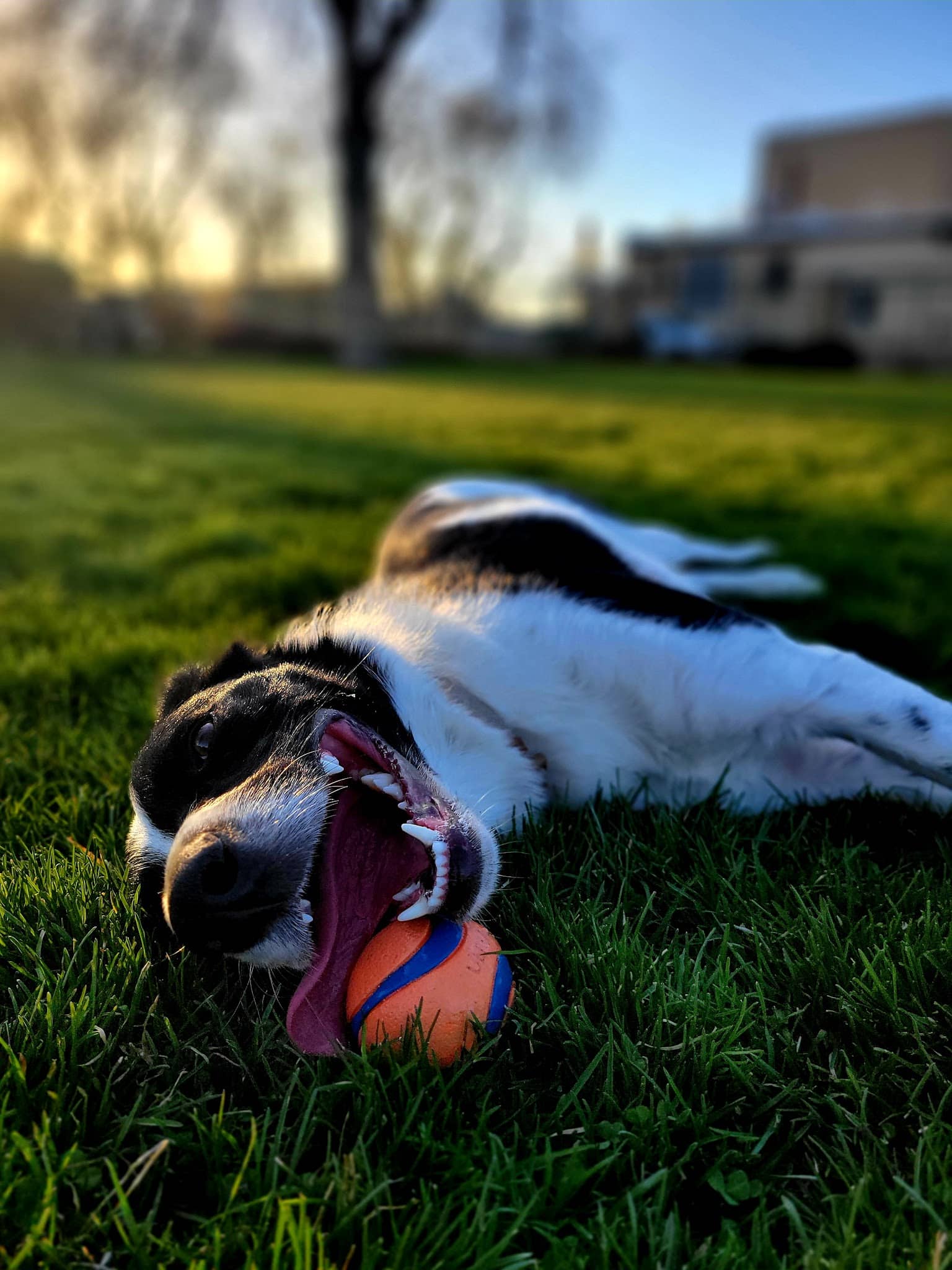 Kilowatt Park - Logan, UT