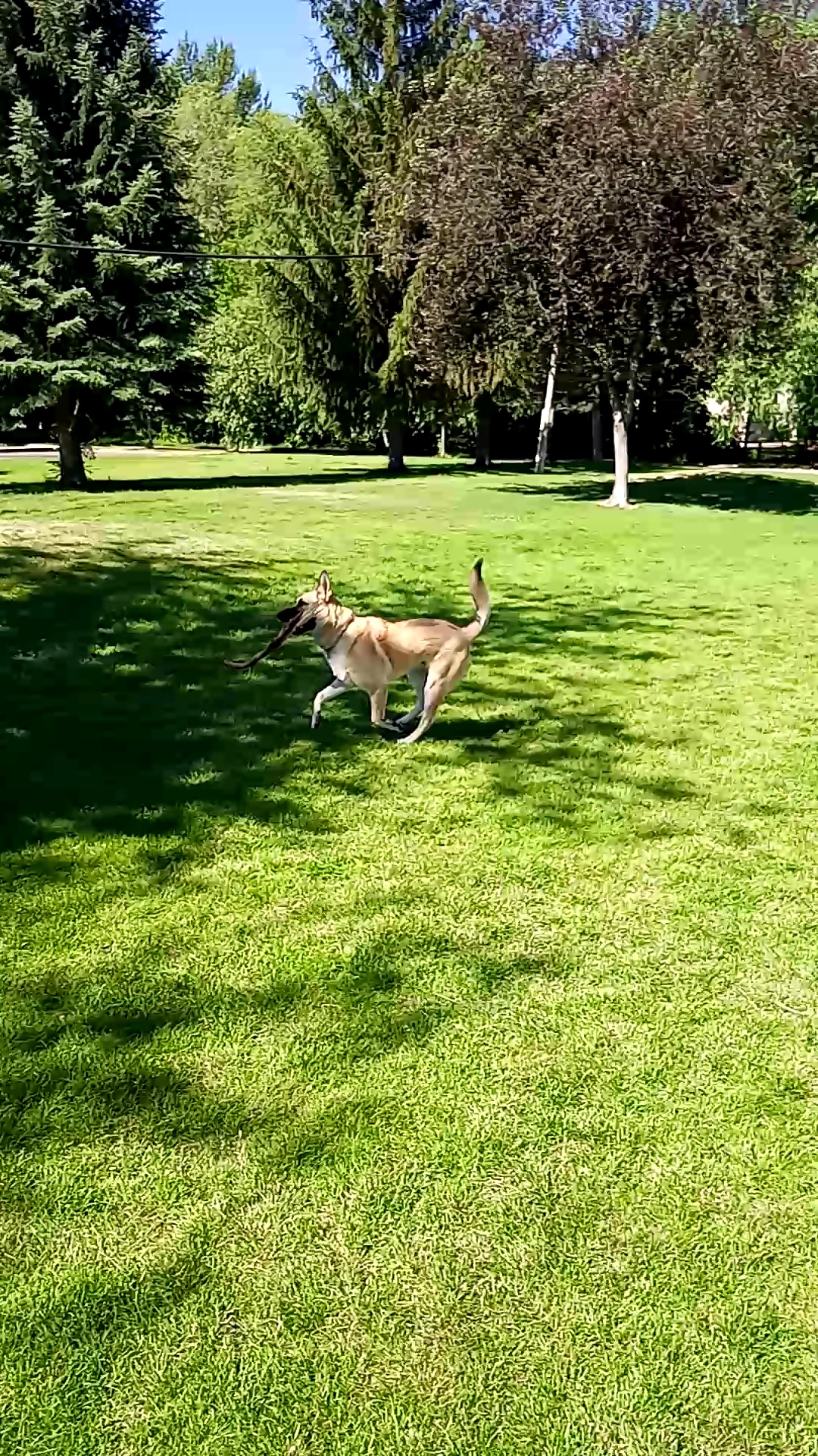 Kilowatt Park - Logan, UT