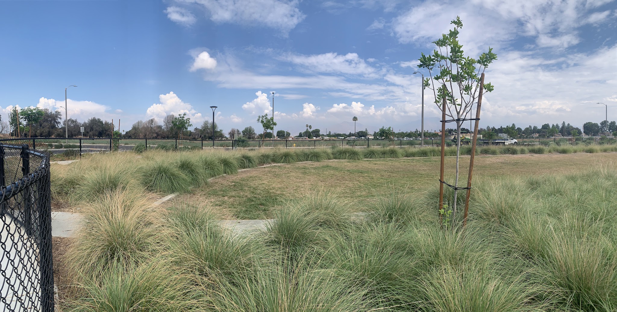 Citrus Trails Dog Park - Loma Linda, CA