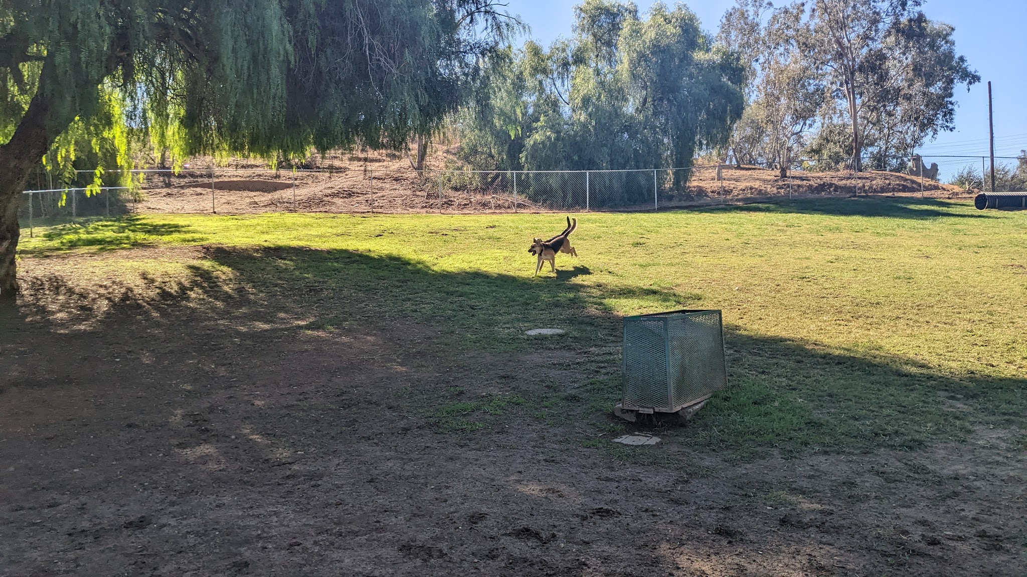 Loma Linda Large Dog Park - Loma Linda, CA