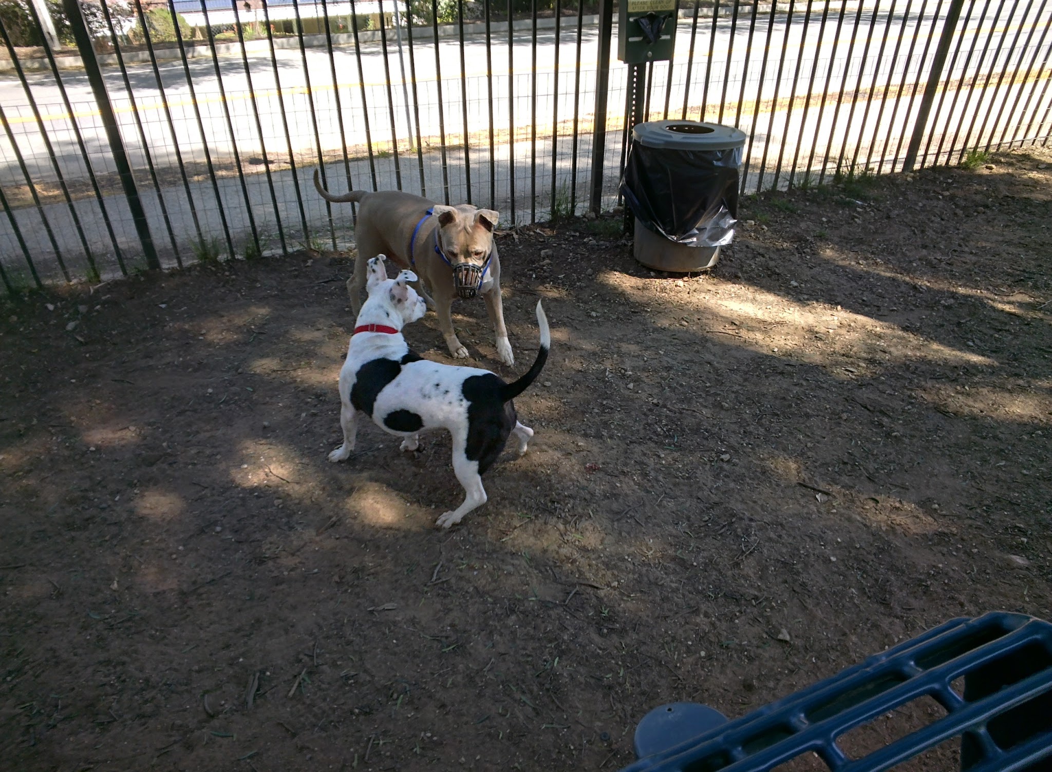 Loma Linda Large Dog Park - Loma Linda, CA