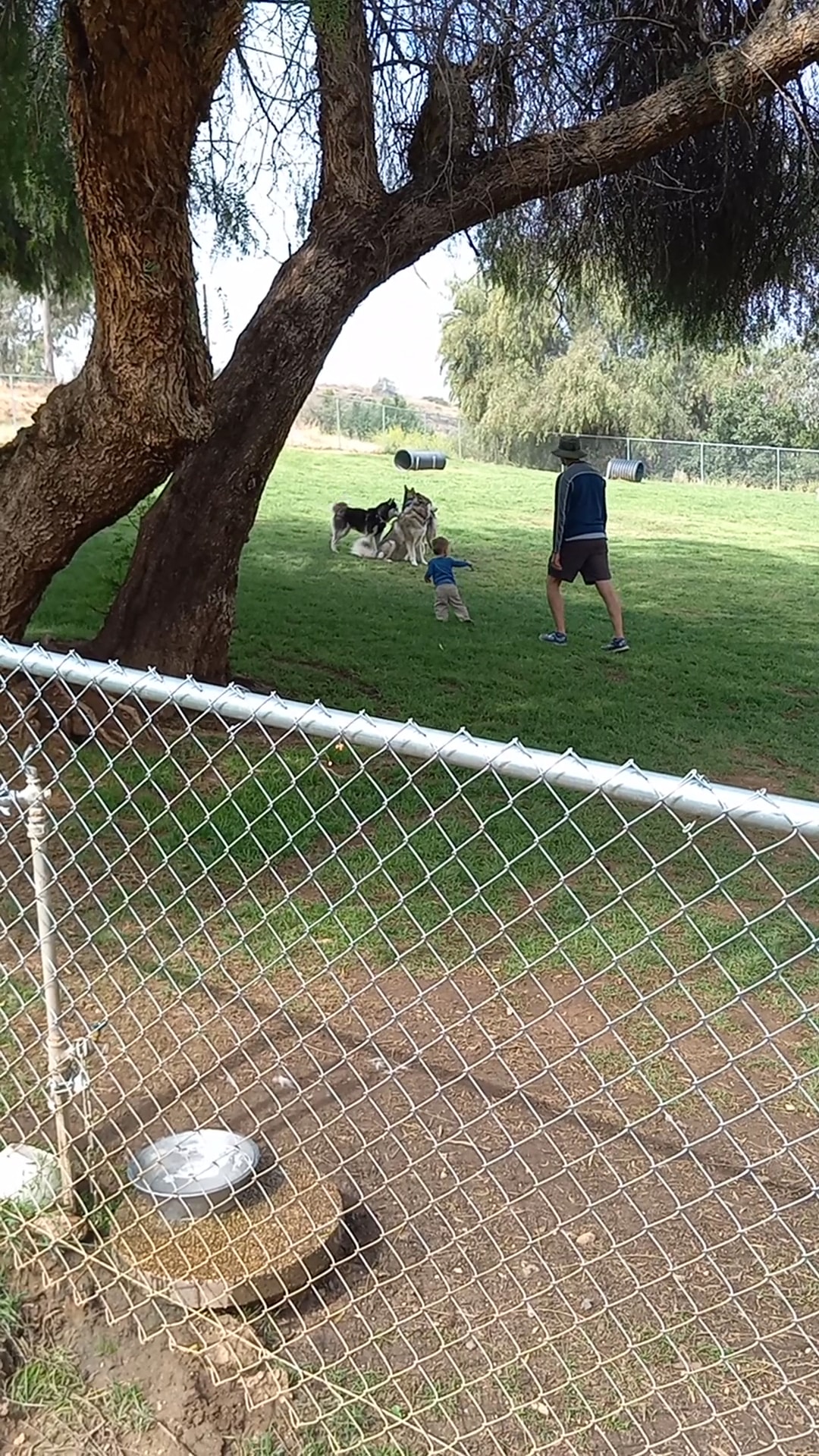 Loma Linda Large Dog Park - Loma Linda, CA
