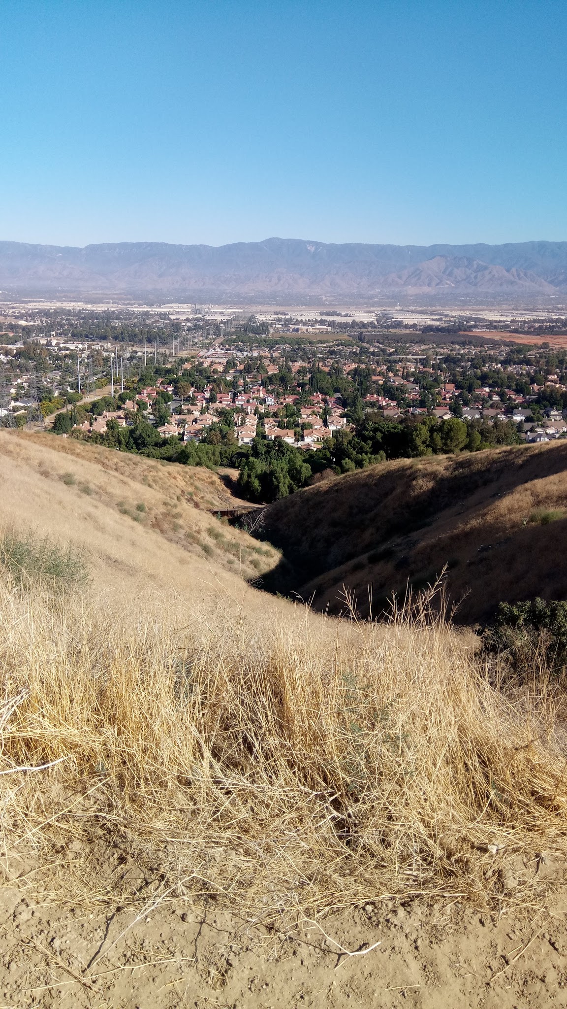 Loma Linda Large Dog Park - Loma Linda, CA