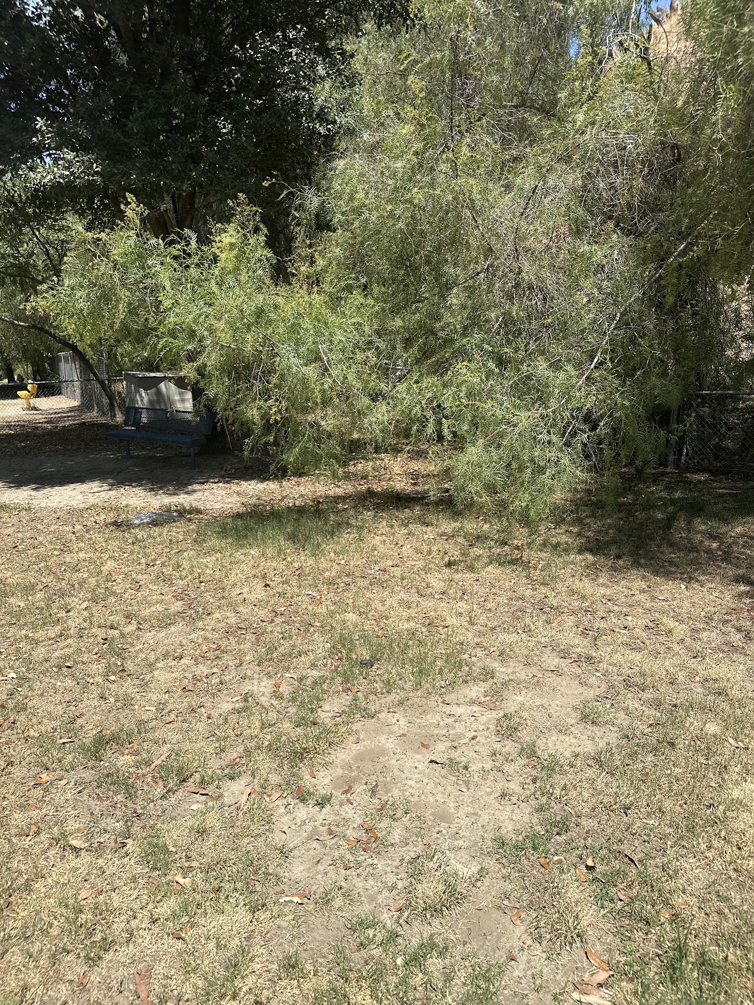 Loma Linda Small Dog Park - Loma Linda, CA