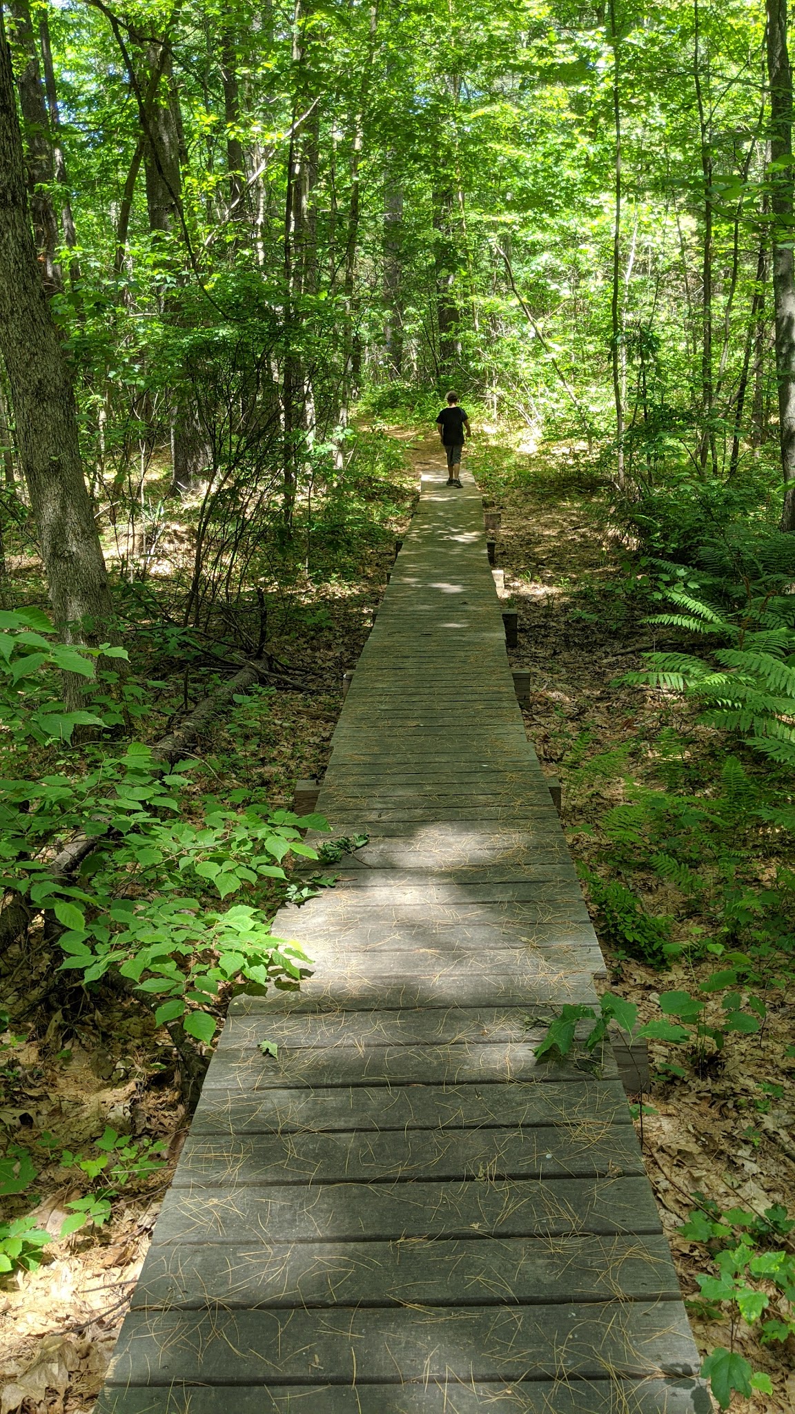 Kendall Pond Conservation Area - Londonderry, NH