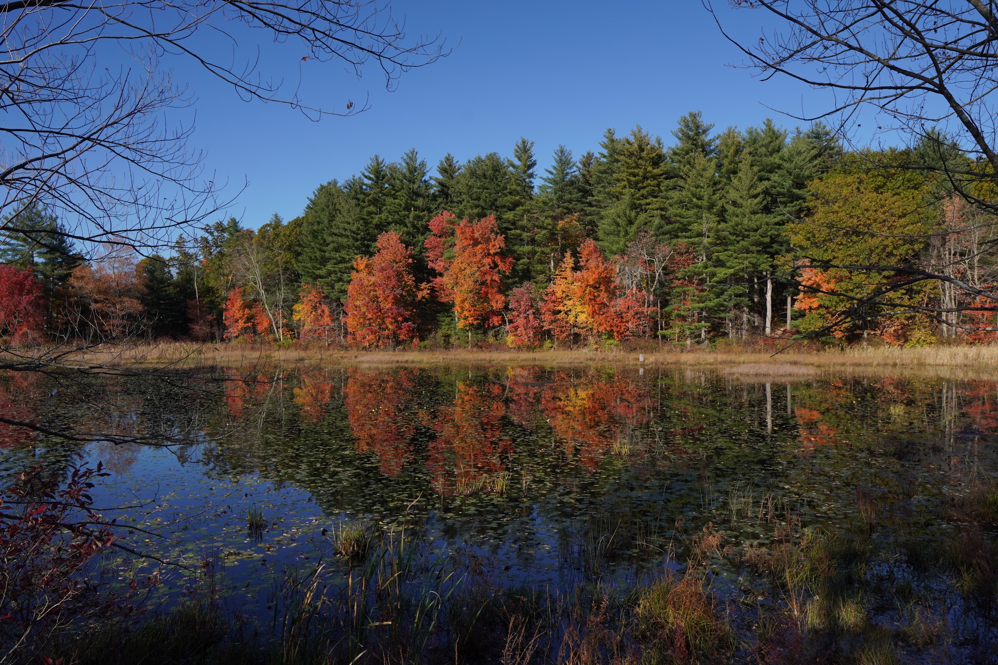 Londonderry Rail Trail - Londonderry, NH