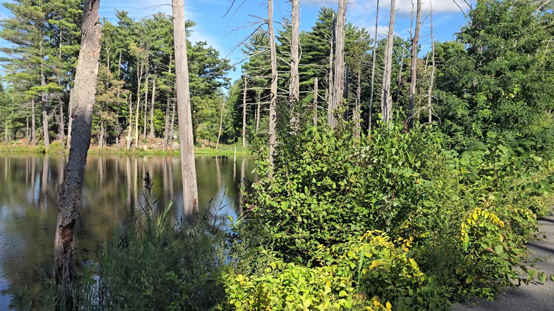 Londonderry Rail Trail - Londonderry, NH