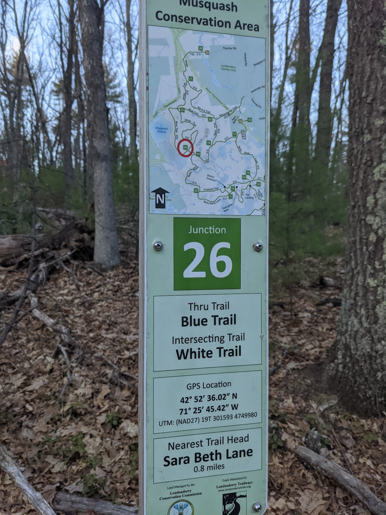 Musquash Conservation Area - Londonderry, NH