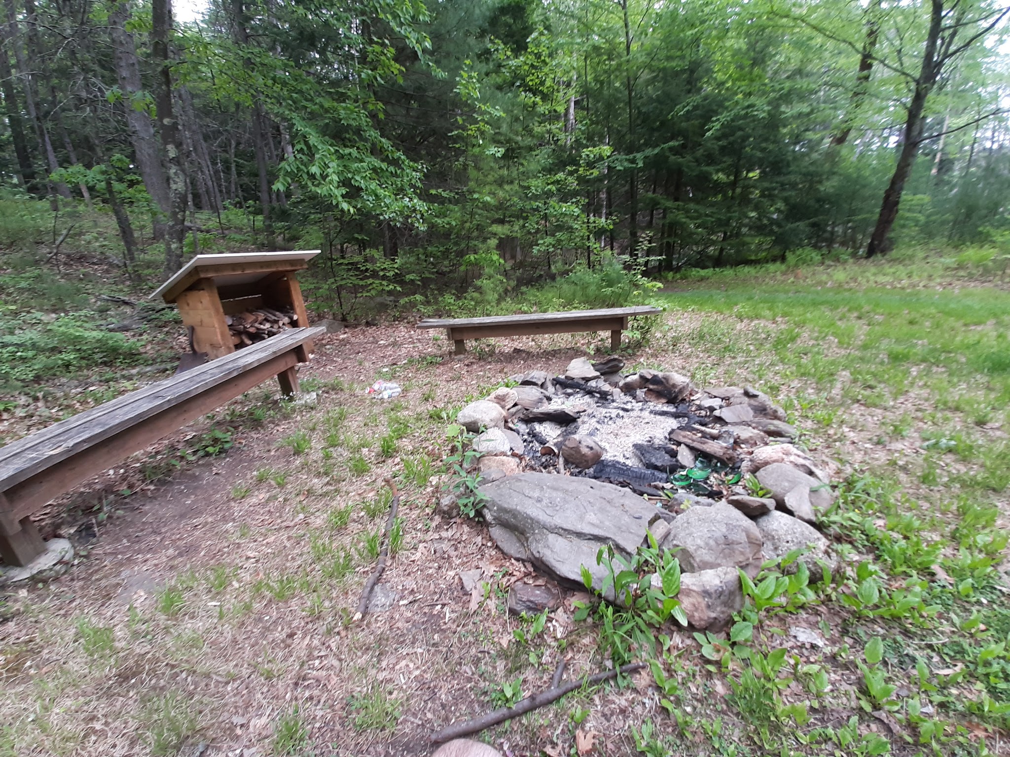 Musquash Conservation Area - Londonderry, NH