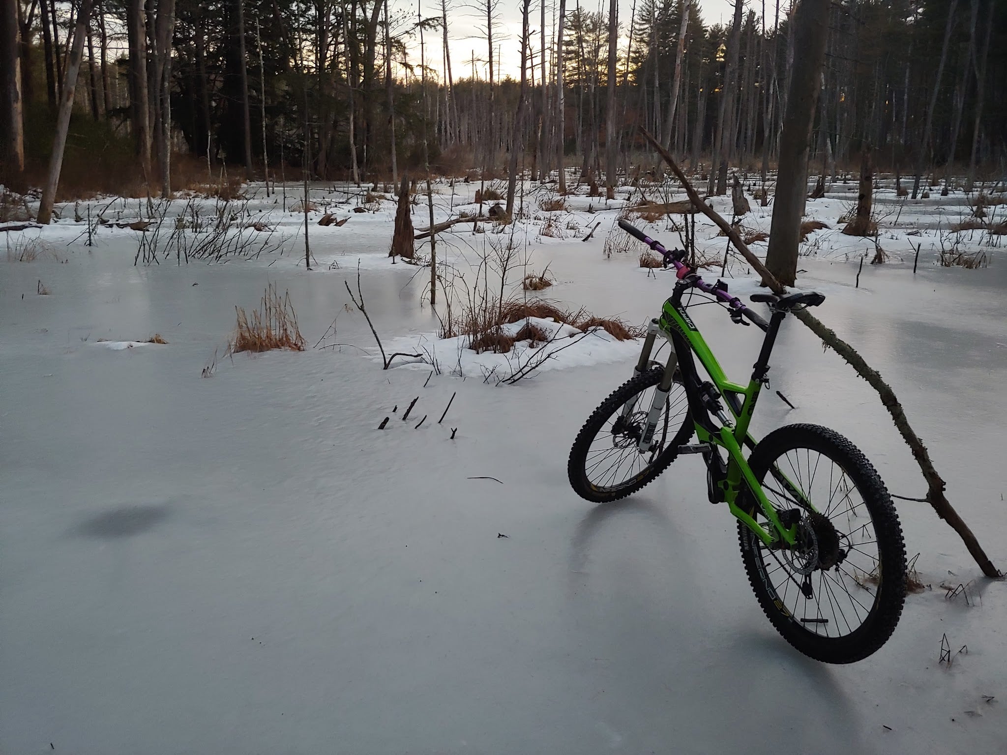 Musquash Conservation Area - Londonderry, NH