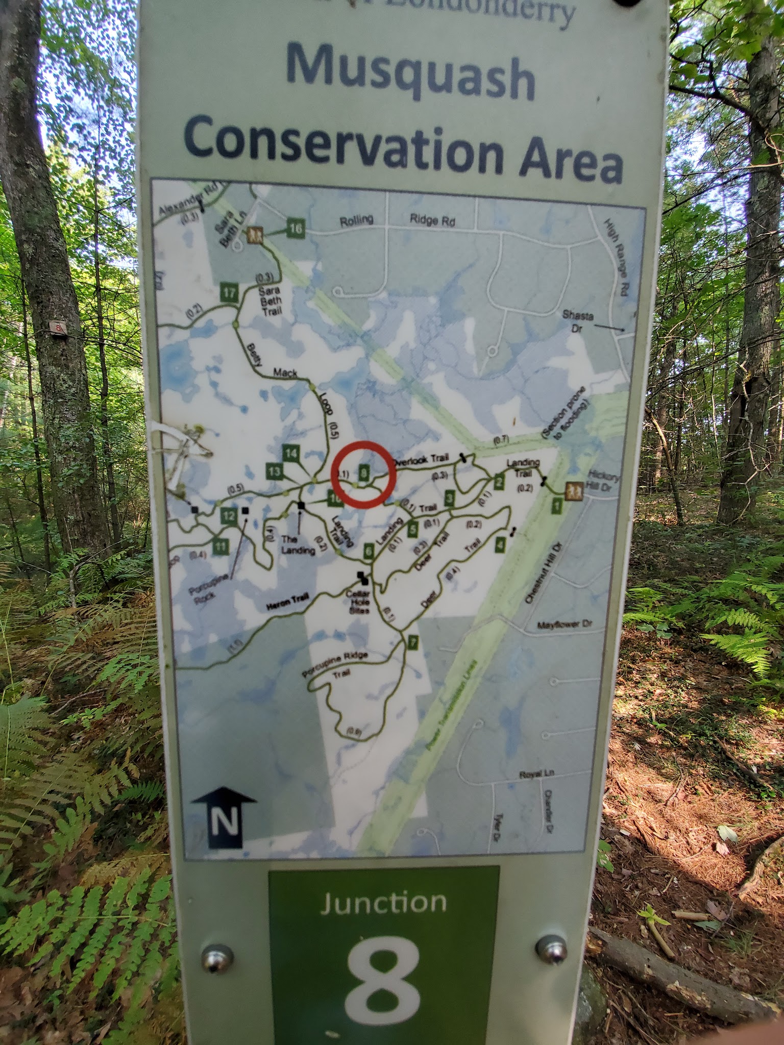 Musquash Conservation Area - Londonderry, NH