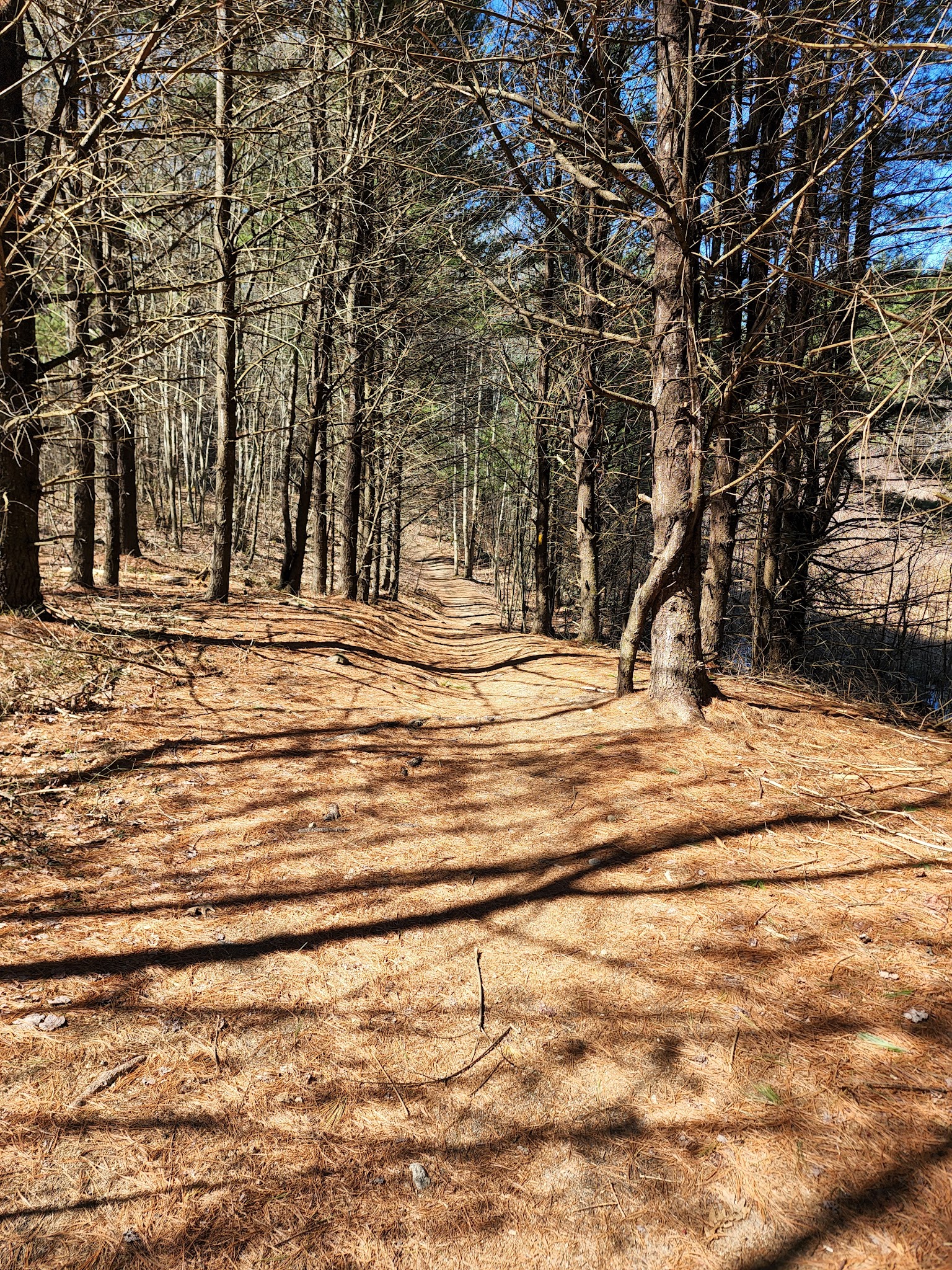 Musquash Conservation Area - Londonderry, NH