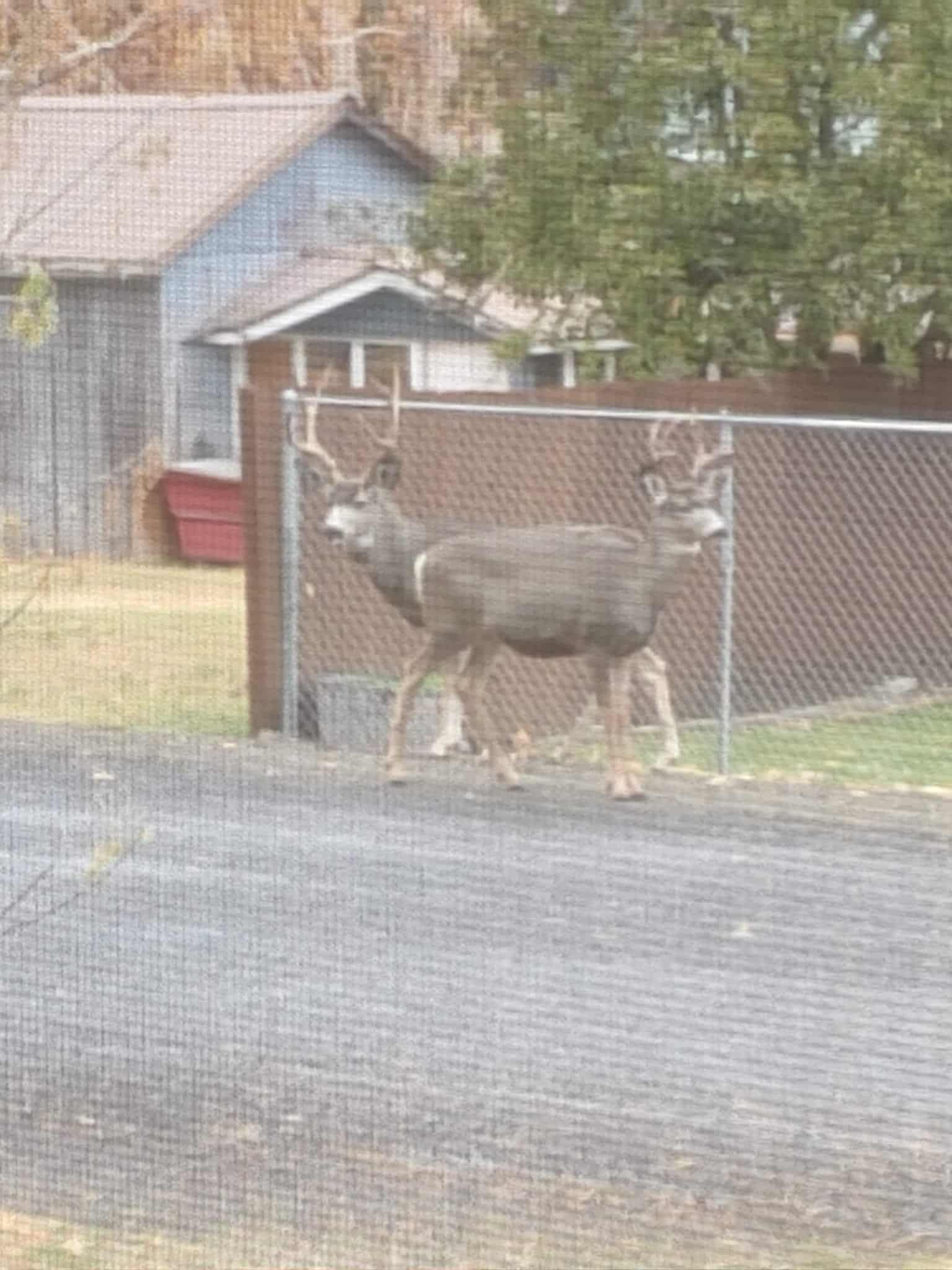 Long Creek Park - Long Creek, OR