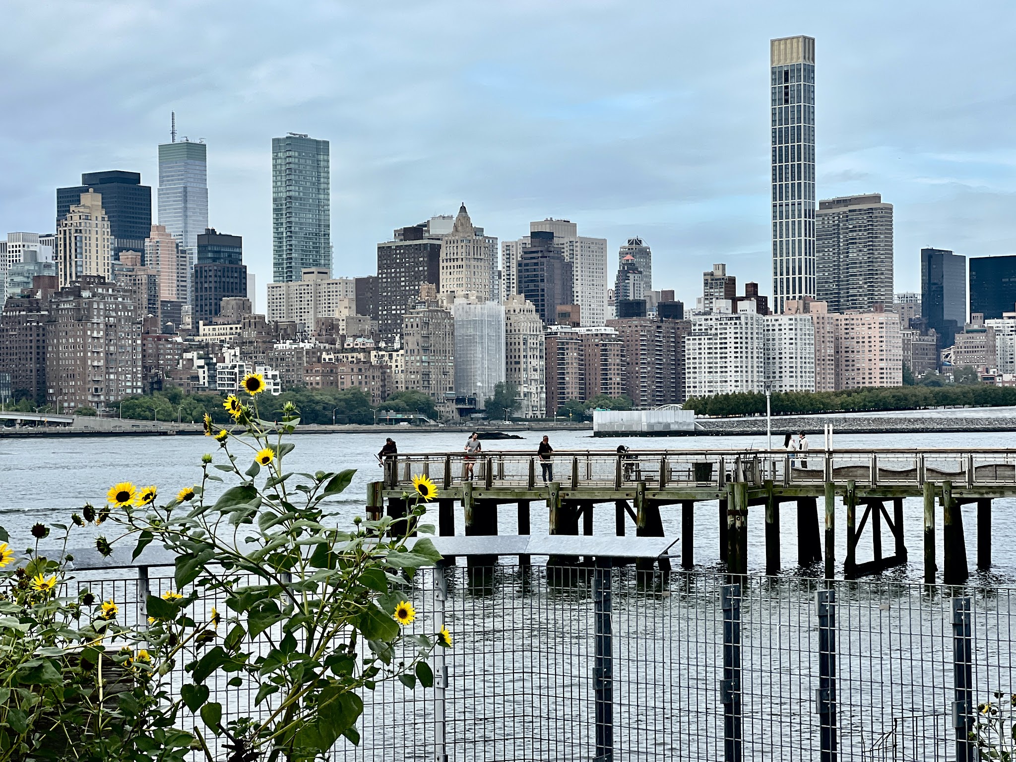 Gantry Big Dog Park - Long Island City, NY