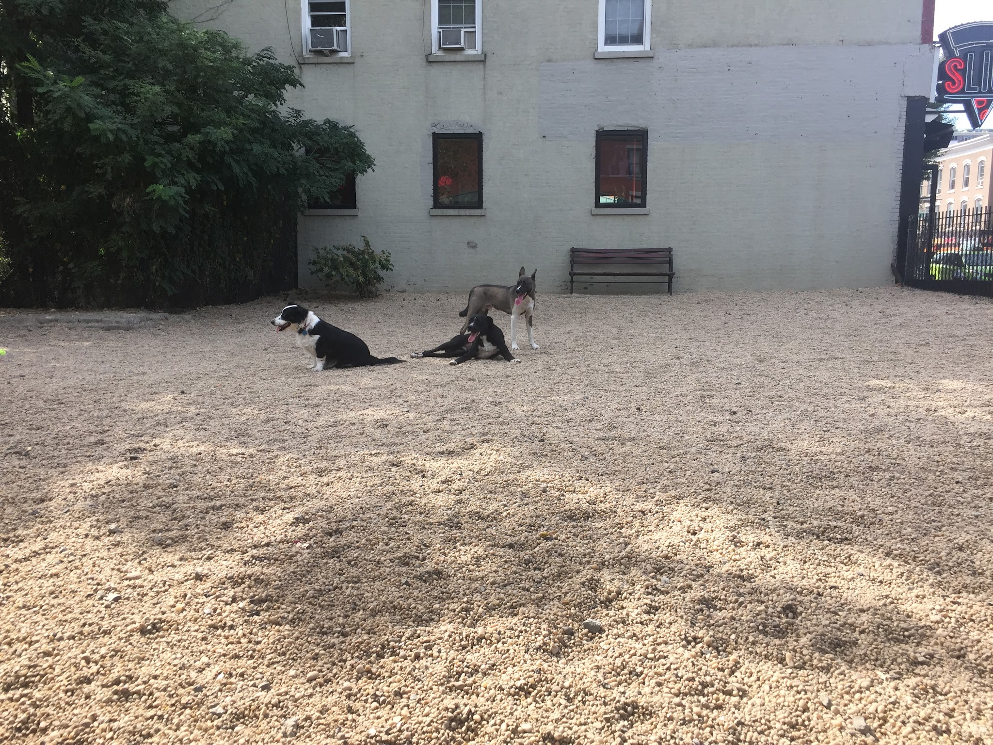 LIC Dog Park - Long Island City, NY