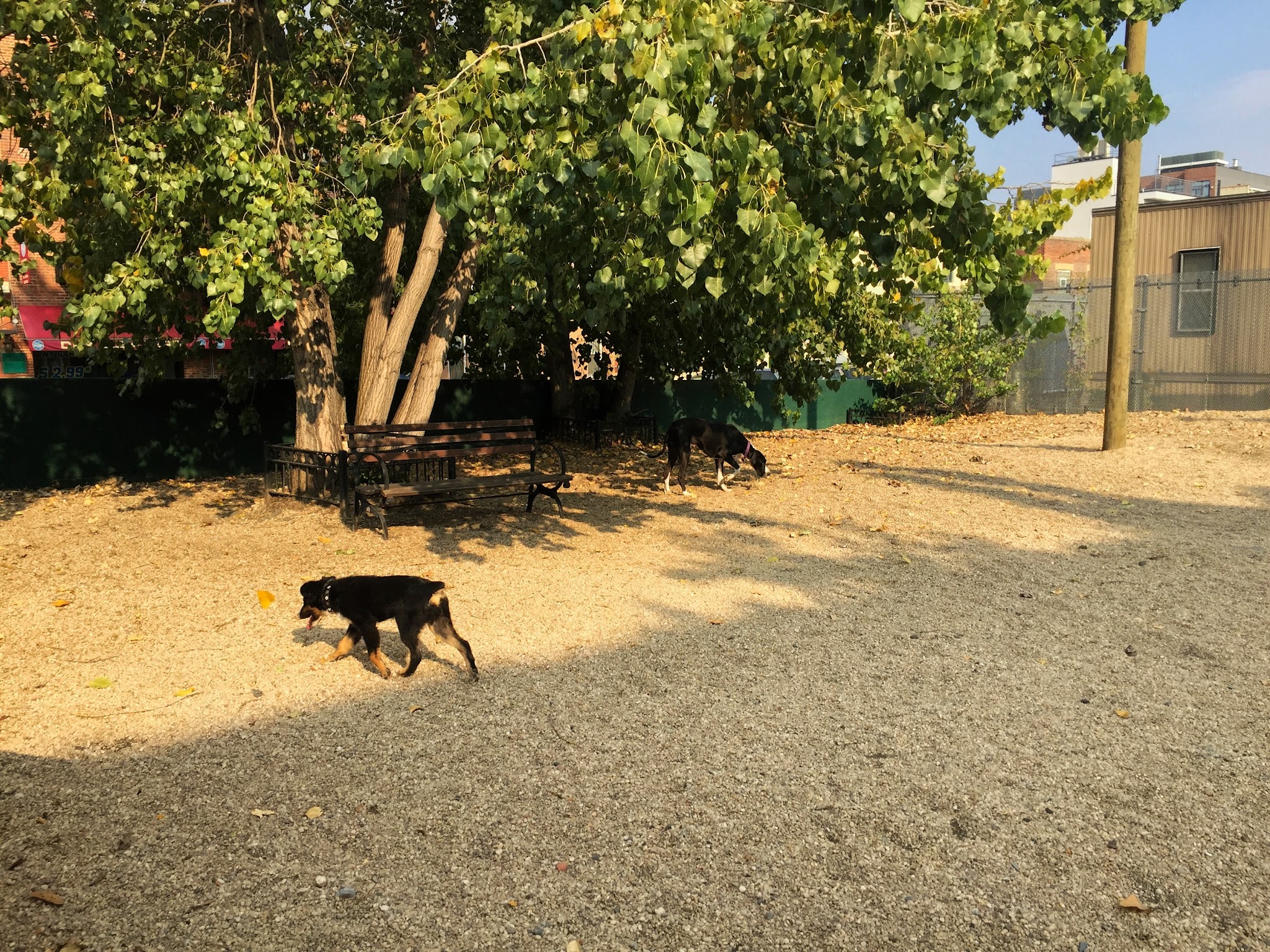 LIC Dog Park - Long Island City, NY