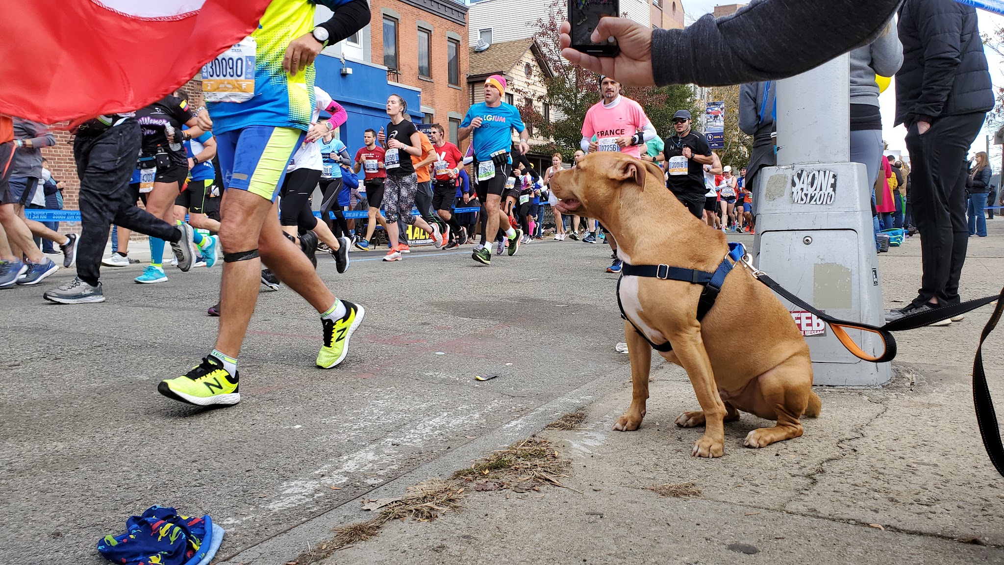 LIC Dog Park - Long Island City, NY
