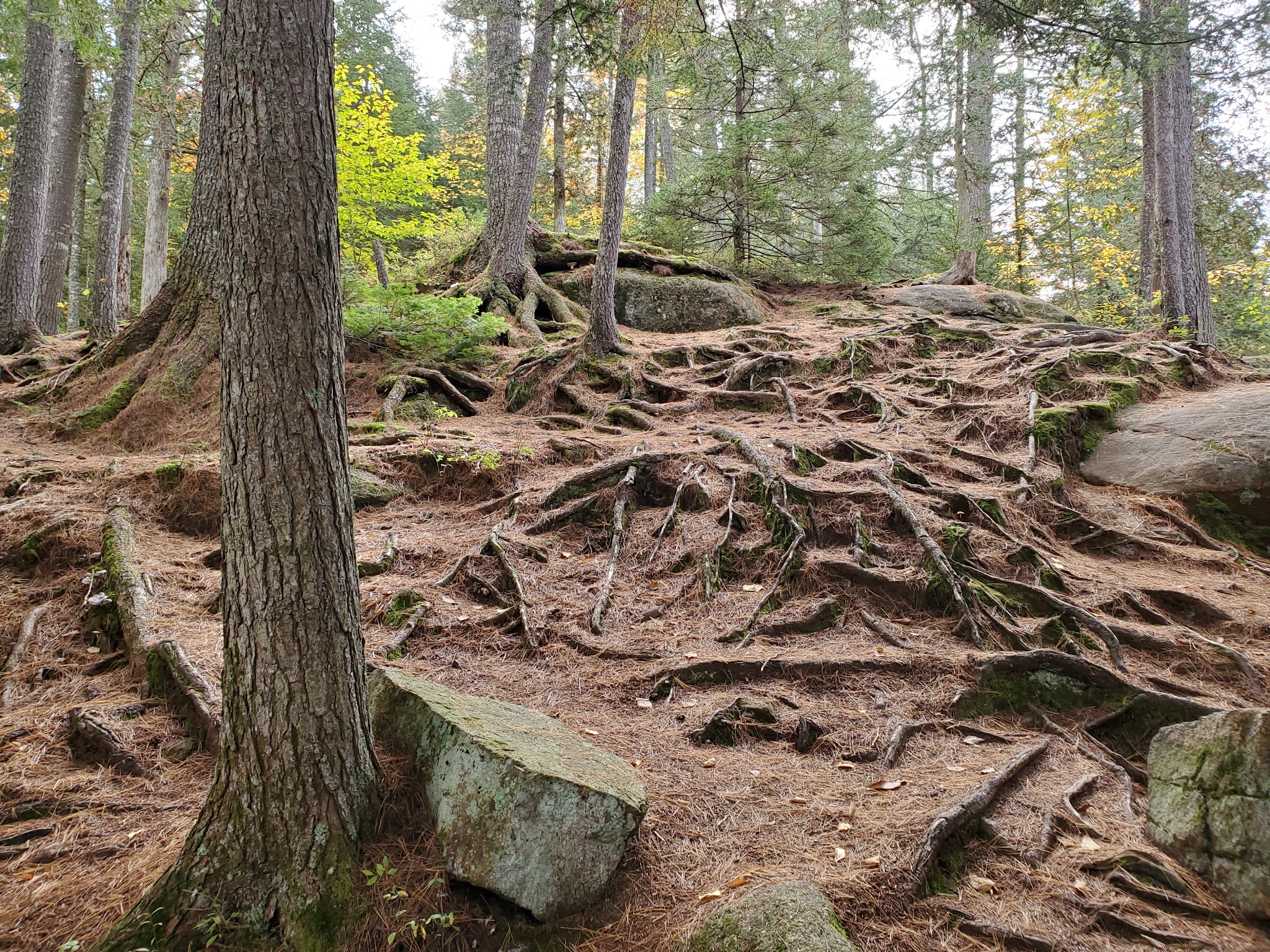 Buttermilk Falls - Long Lake, NY