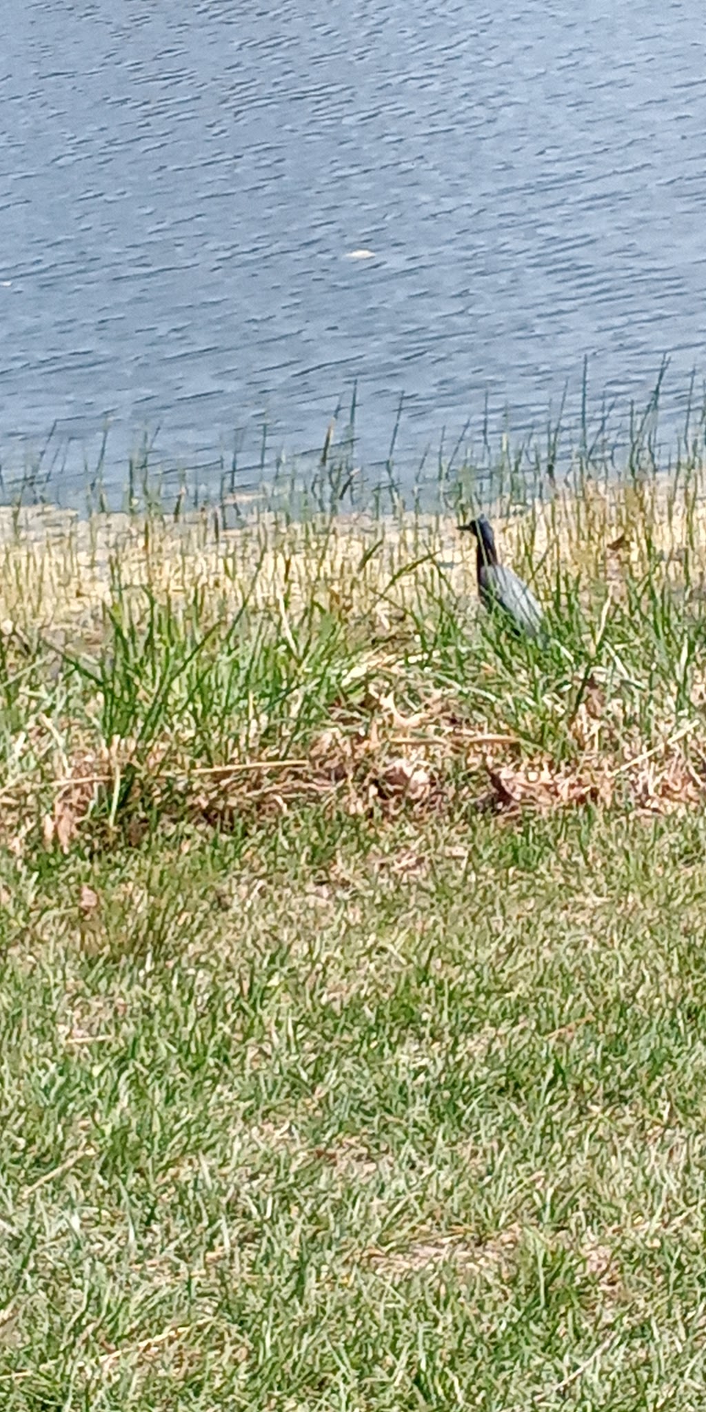 Pot-Nets Bayside Fitness and Exercise Track - Long Neck, DE