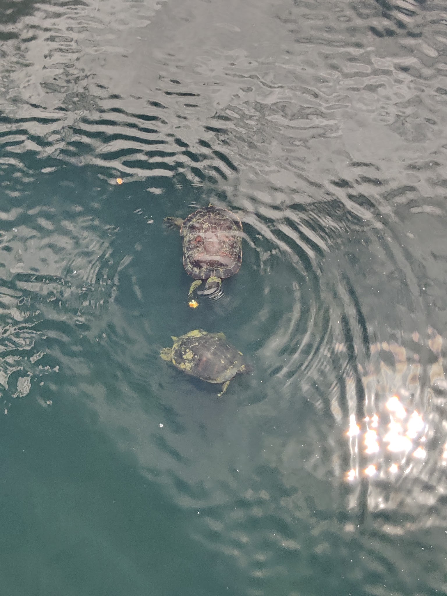 Pot-Nets Bayside Fitness and Exercise Track - Long Neck, DE