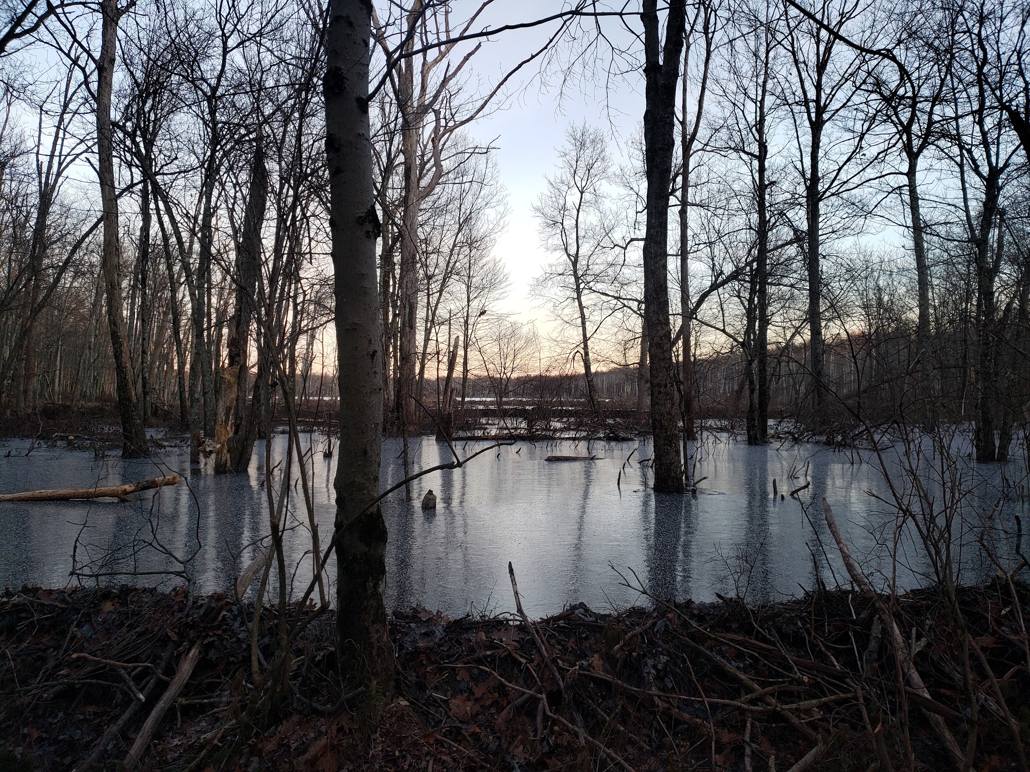Long Pond Conservation Easement - Long Pond, PA
