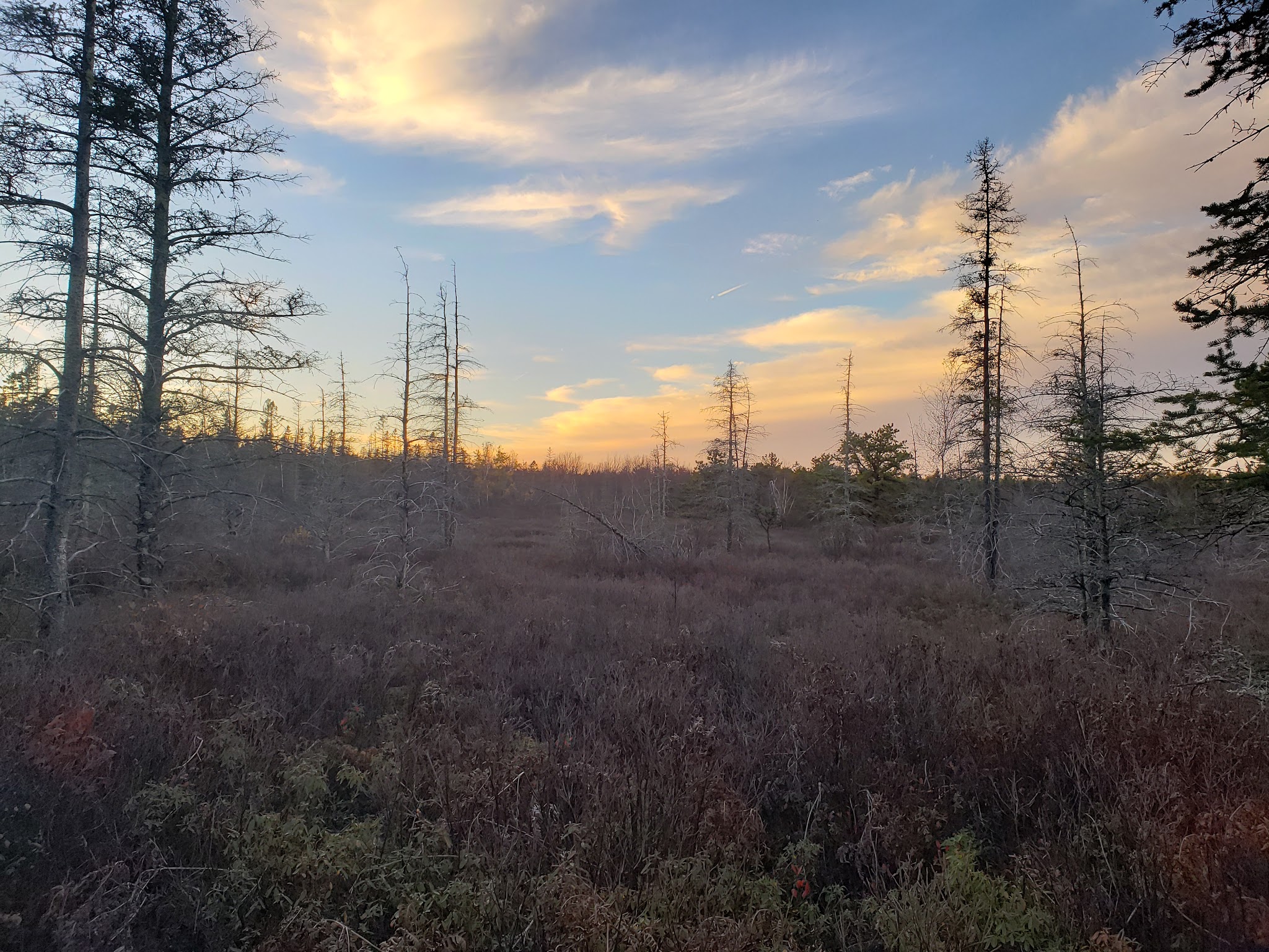 Long Pond Conservation Easement - Long Pond, PA