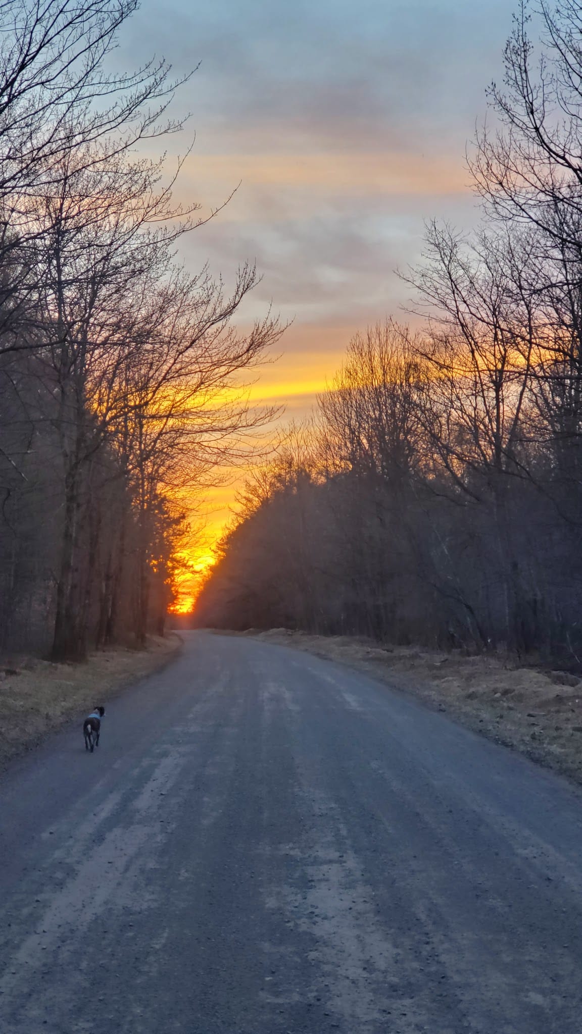 Long Pond Conservation Easement - Long Pond, PA