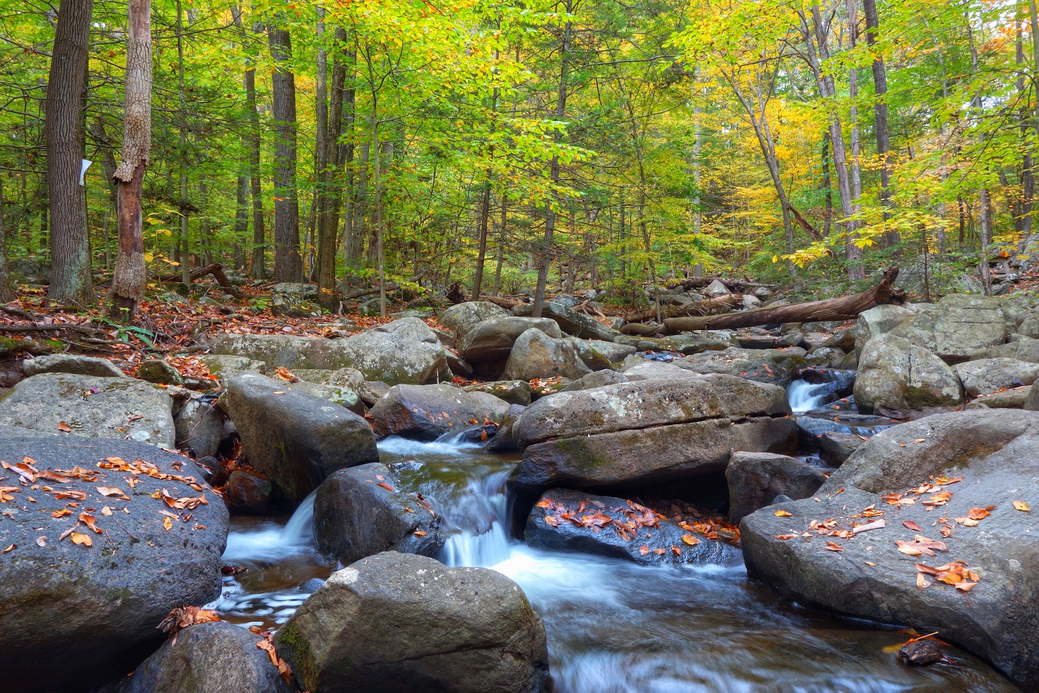 Hacklebarney State Park - Long Valley, NJ