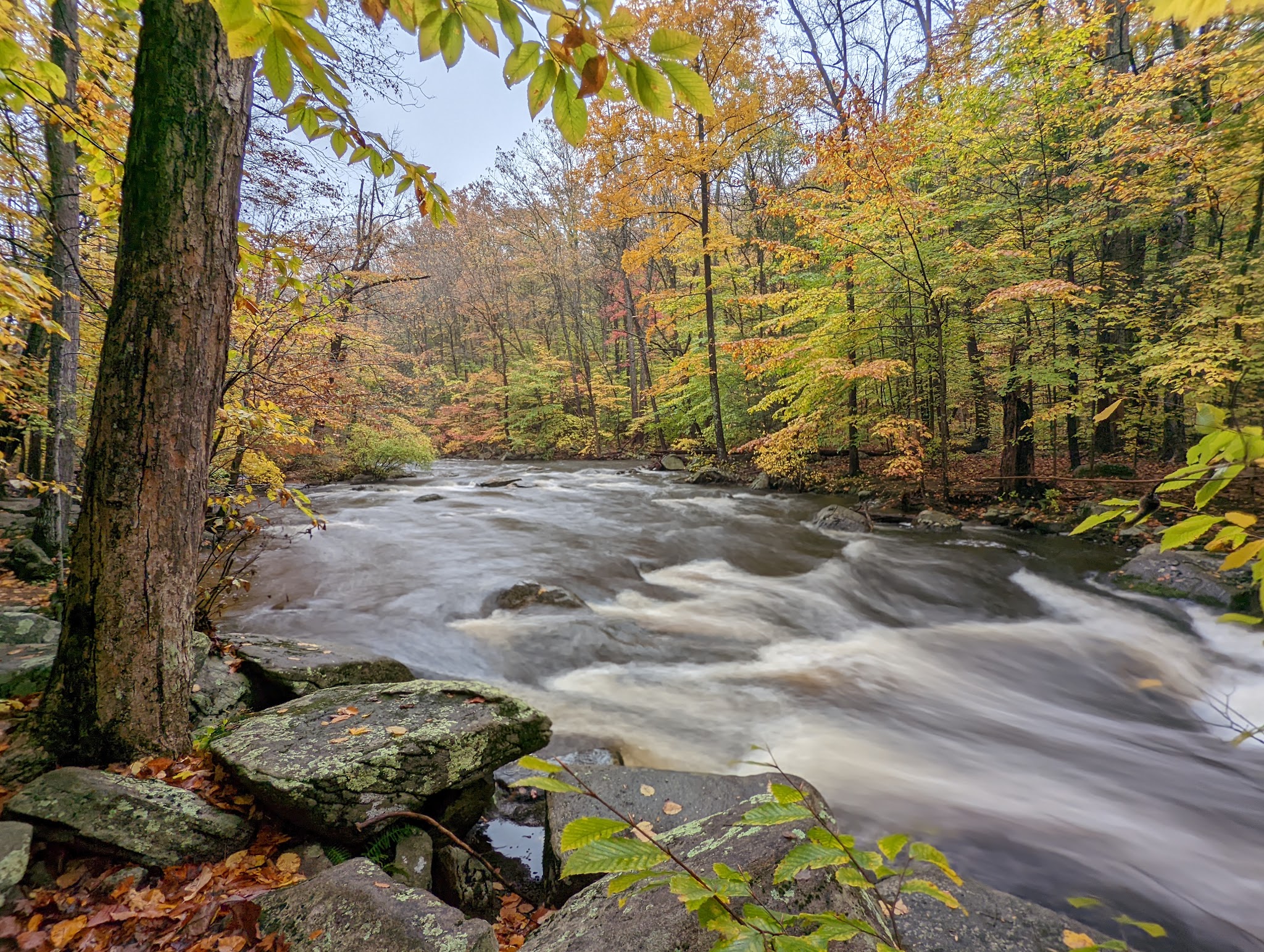 Hacklebarney State Park - Long Valley, NJ