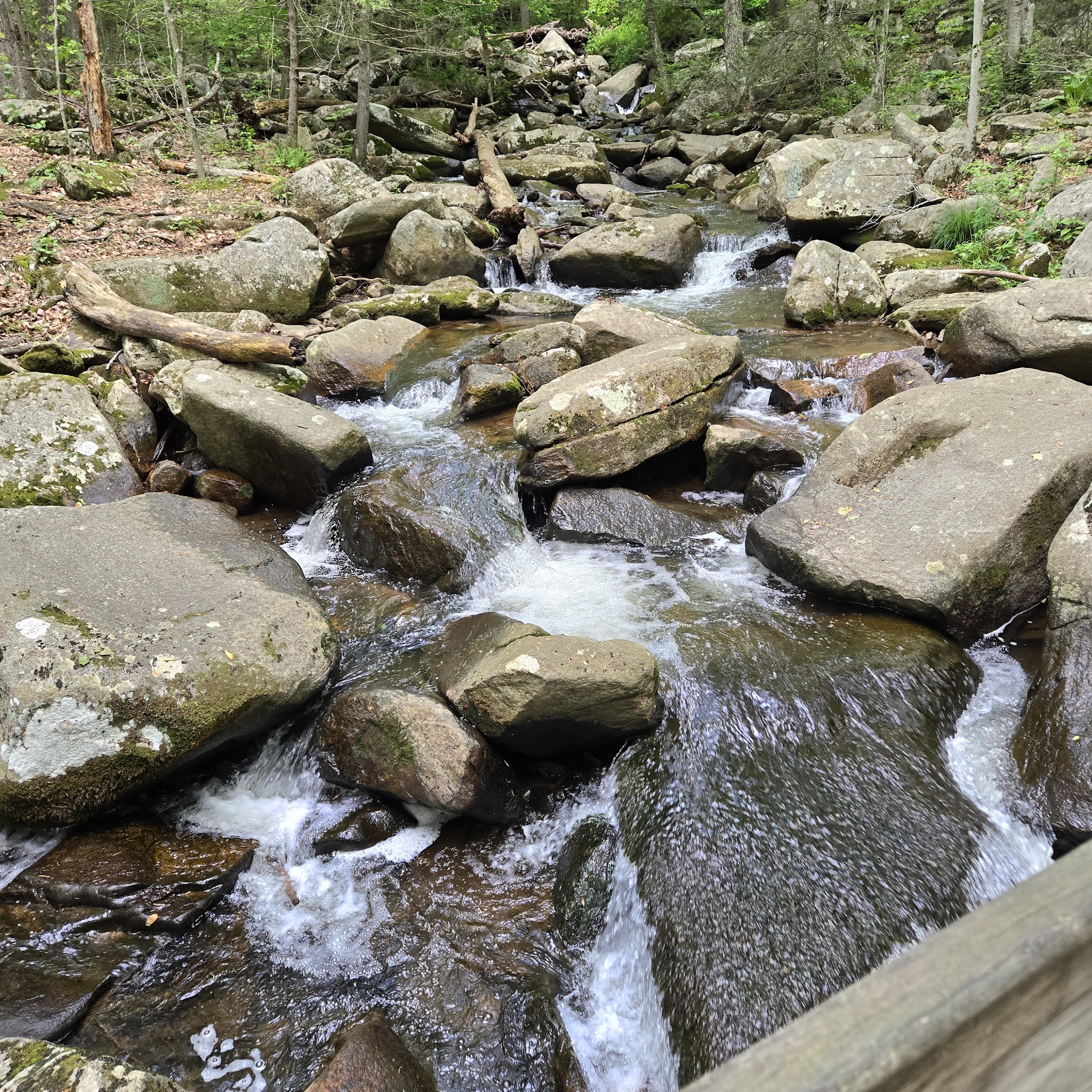 Hacklebarney State Park - Long Valley, NJ