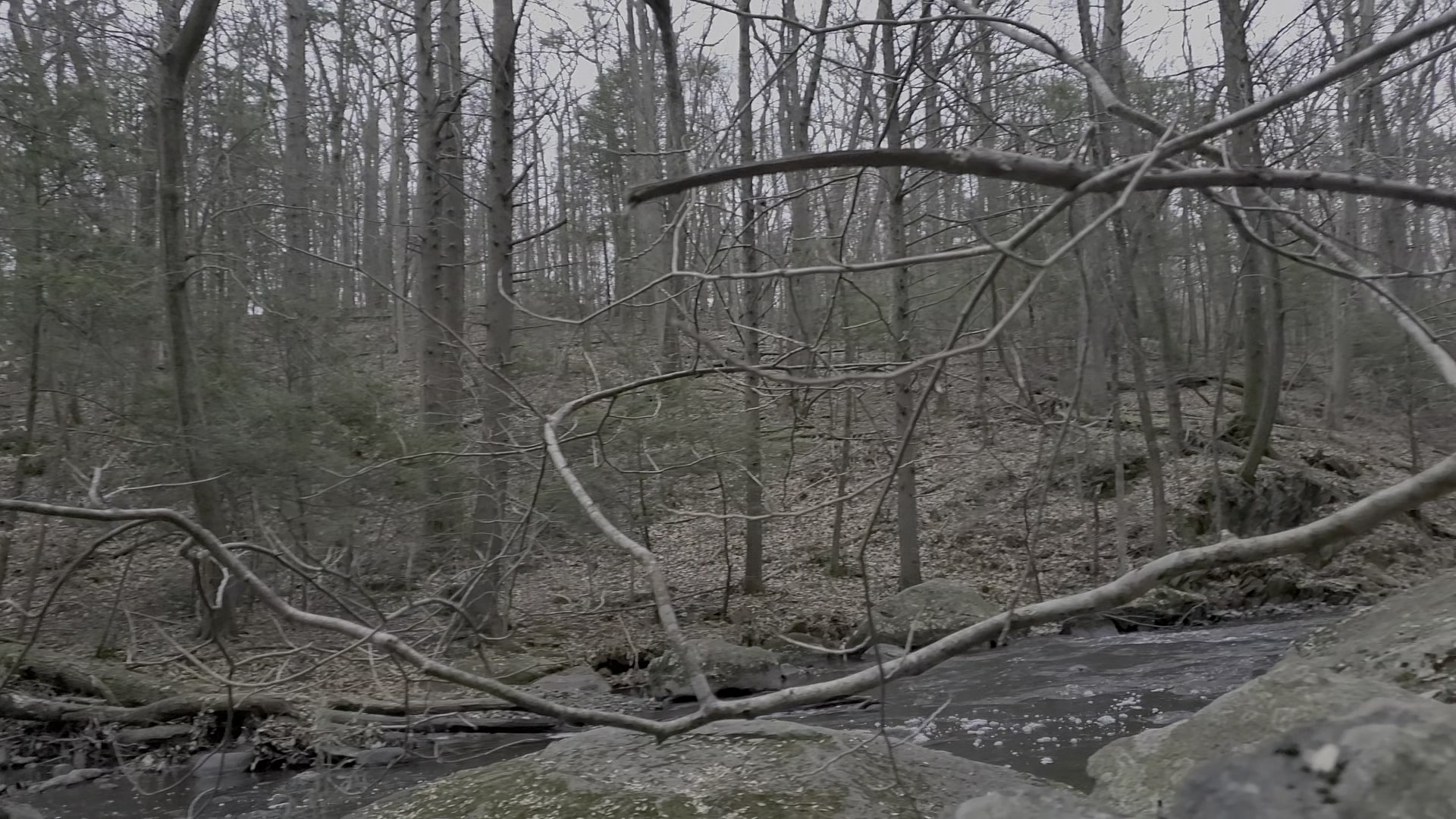 Hacklebarney State Park - Long Valley, NJ