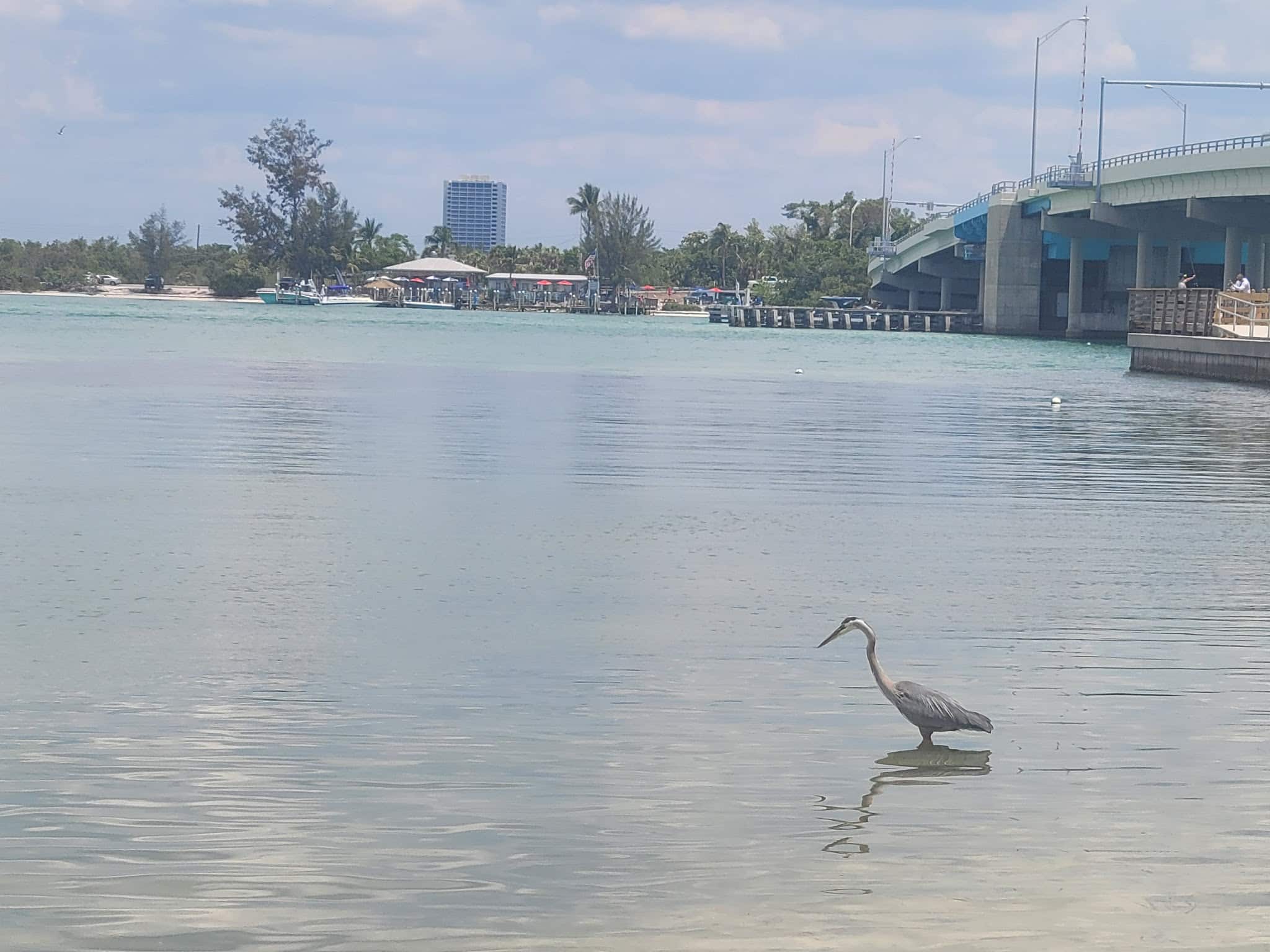 Longboat Key Public Beach Access & Parking - Longboat Key, FL
