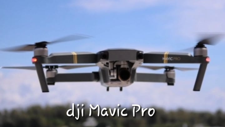 Beer Can Island - Longboat Key, FL